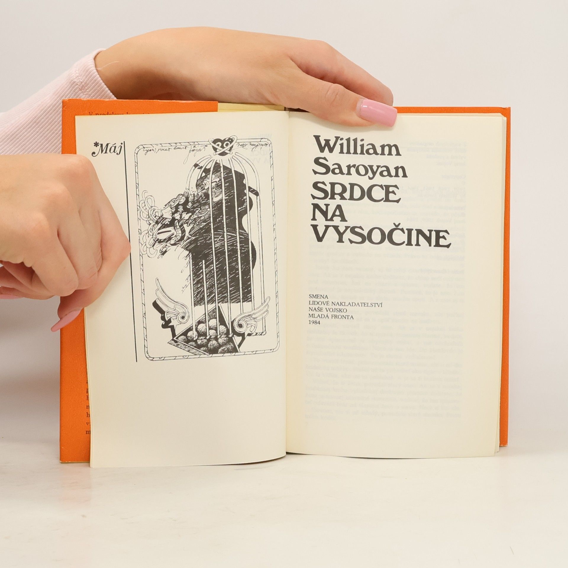 William peneyan Srdce na Vysočine