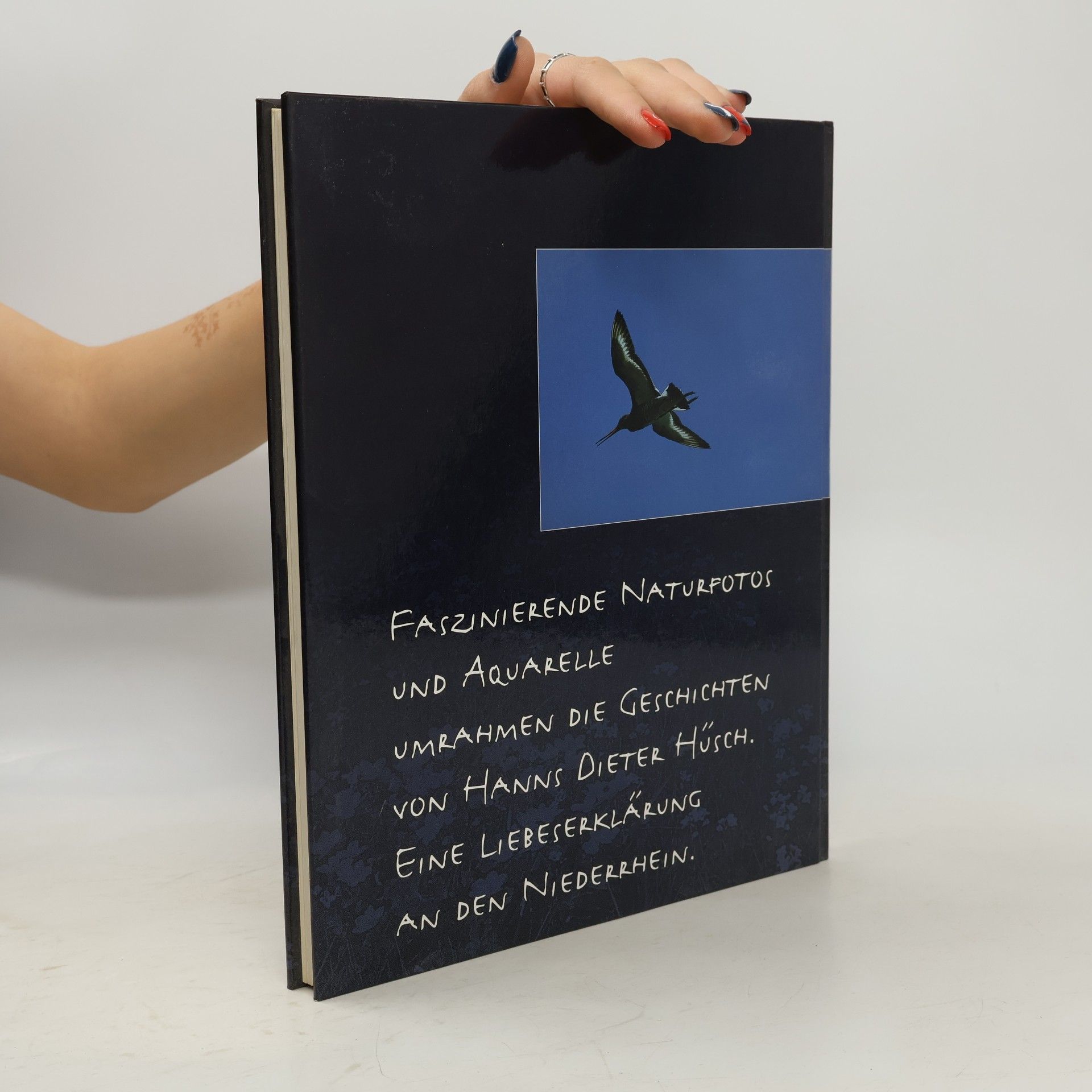 Hanns Hüsch Überall ist Niederrhein.