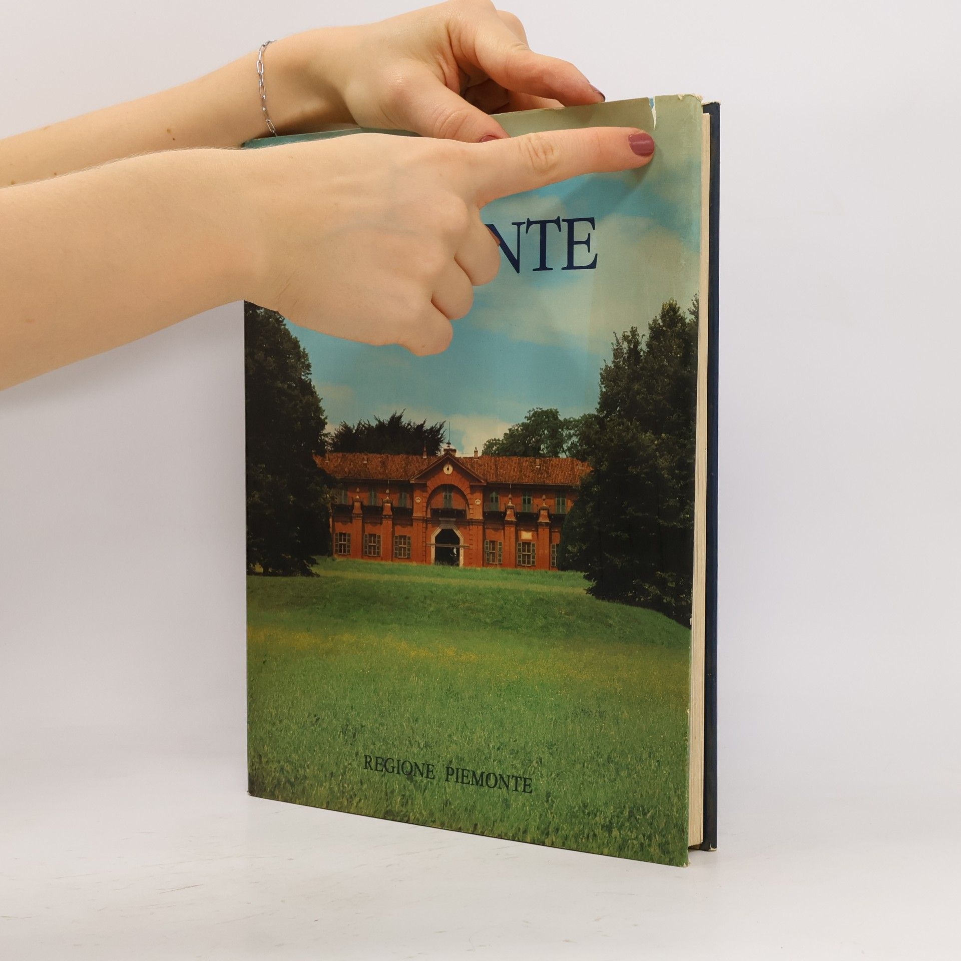 kolektiv Piemonte