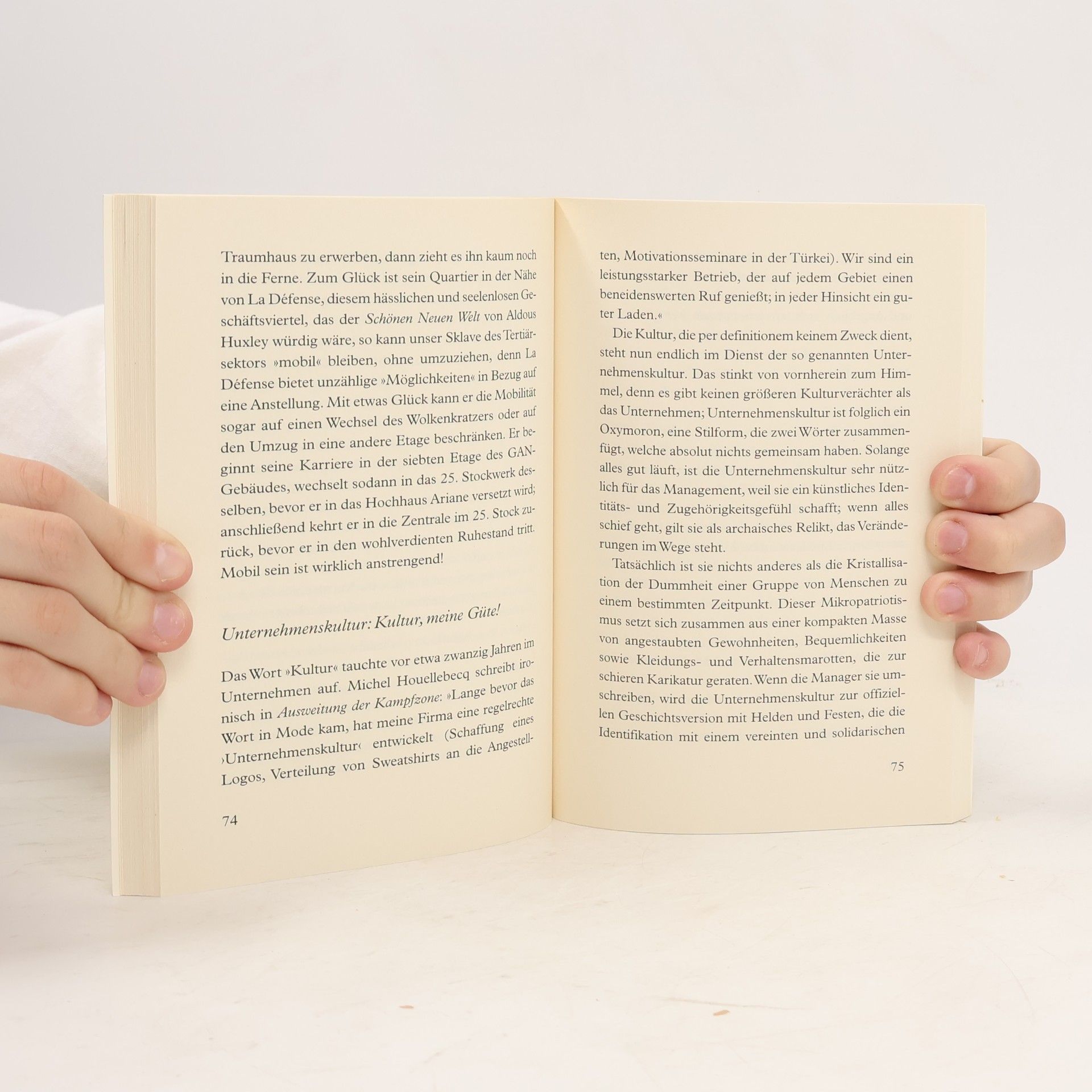 Corinne Maier Die Entdeckung der Faulheit