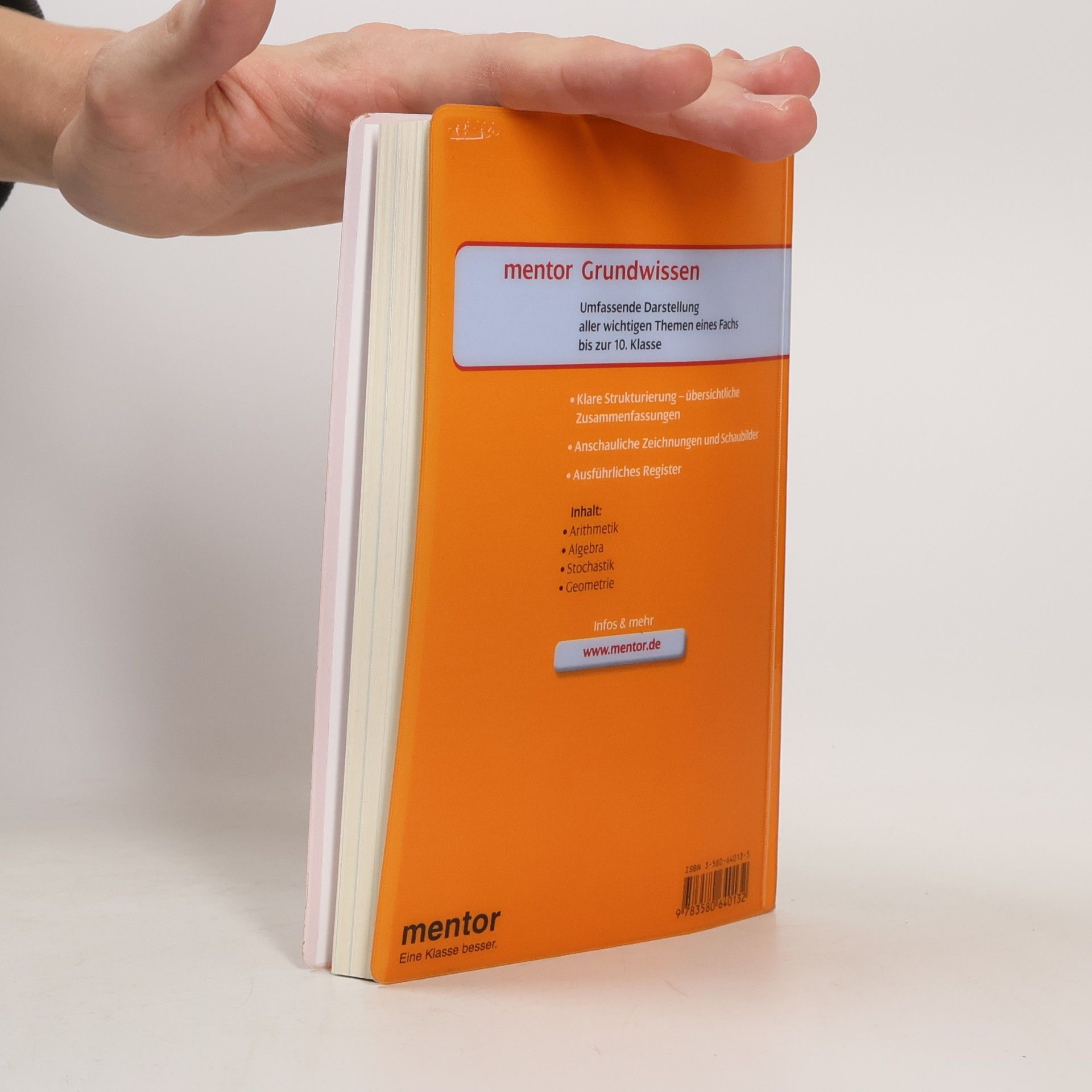 Theo Waibel Mentor Grundwissen : Mathematik