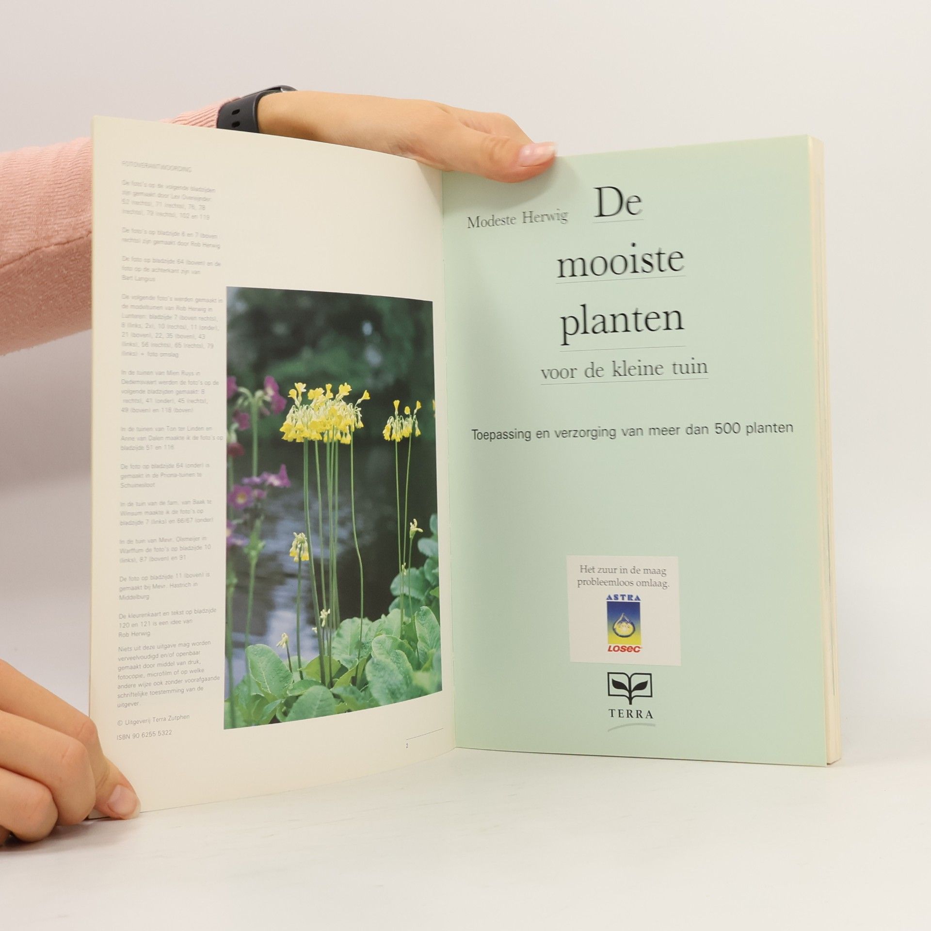 Modeste Herwig De mooiste planten voor de kleine tuin