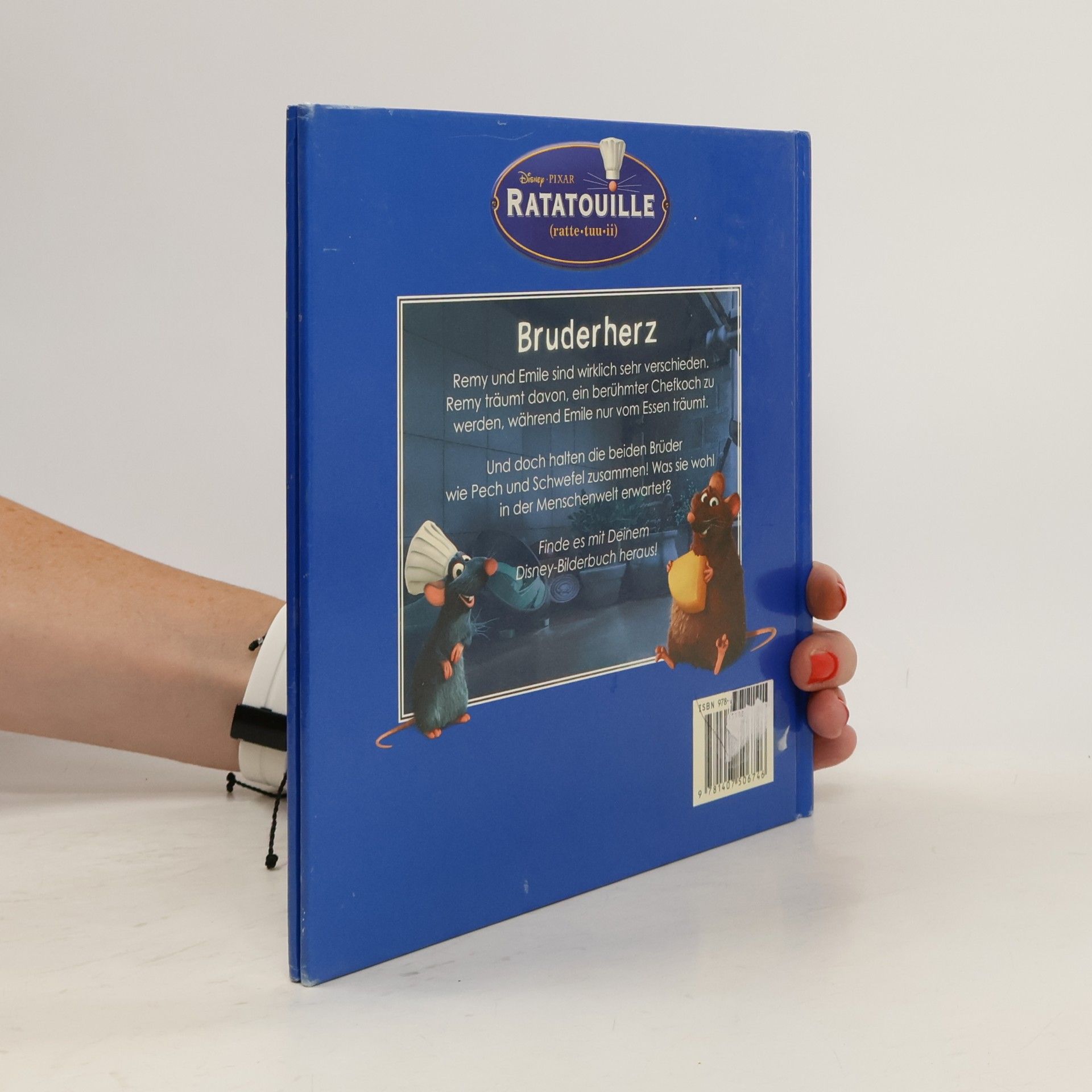 Kolektiv autorů Ratatouille. Bruderherz