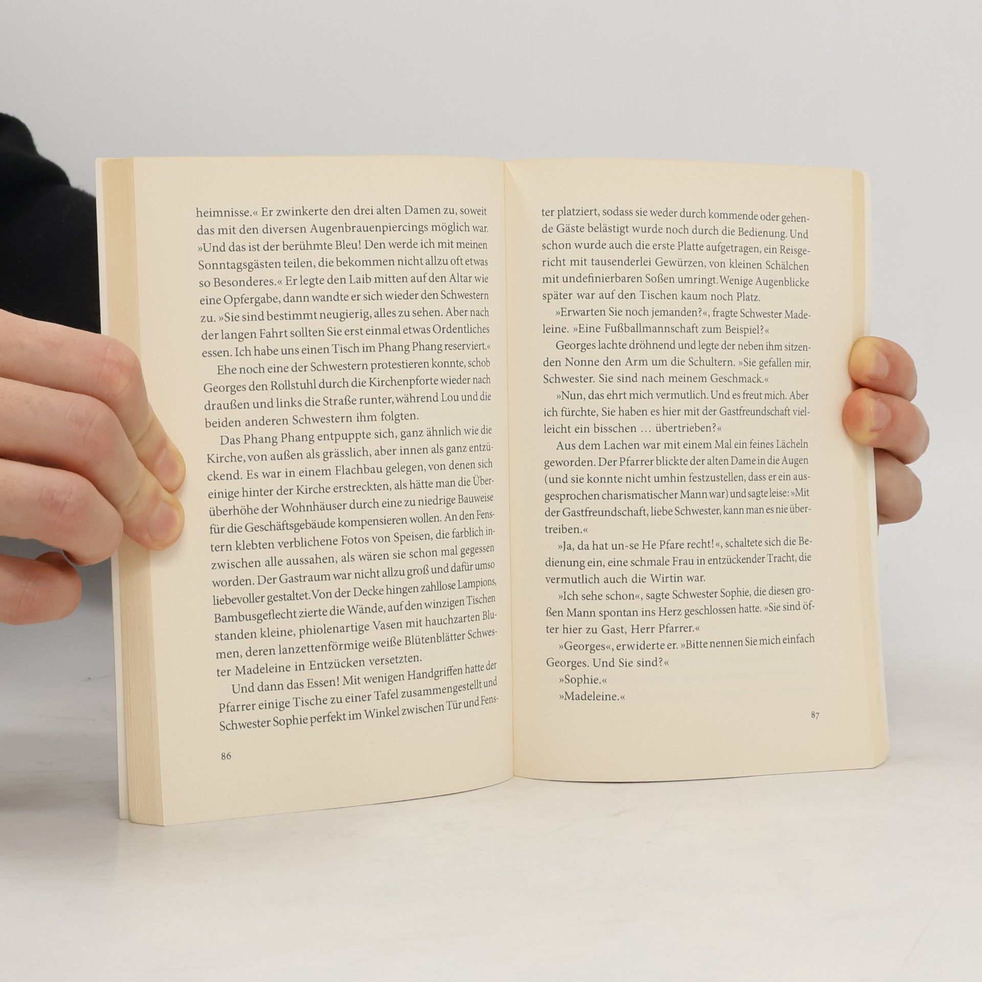 Thomas Montasser Eine himmlische Katastrophe