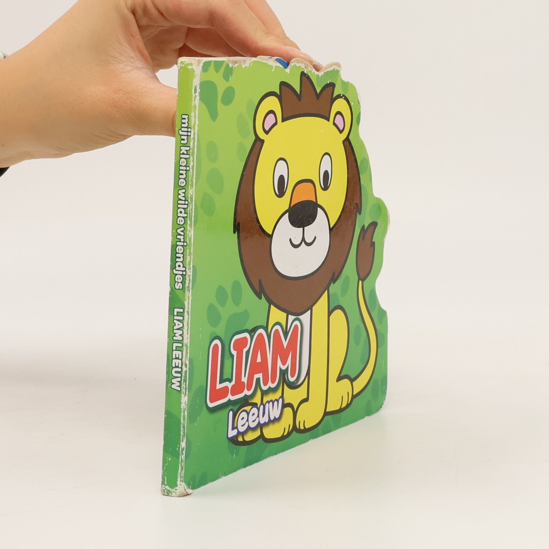 kolektiv Liam Leeuw