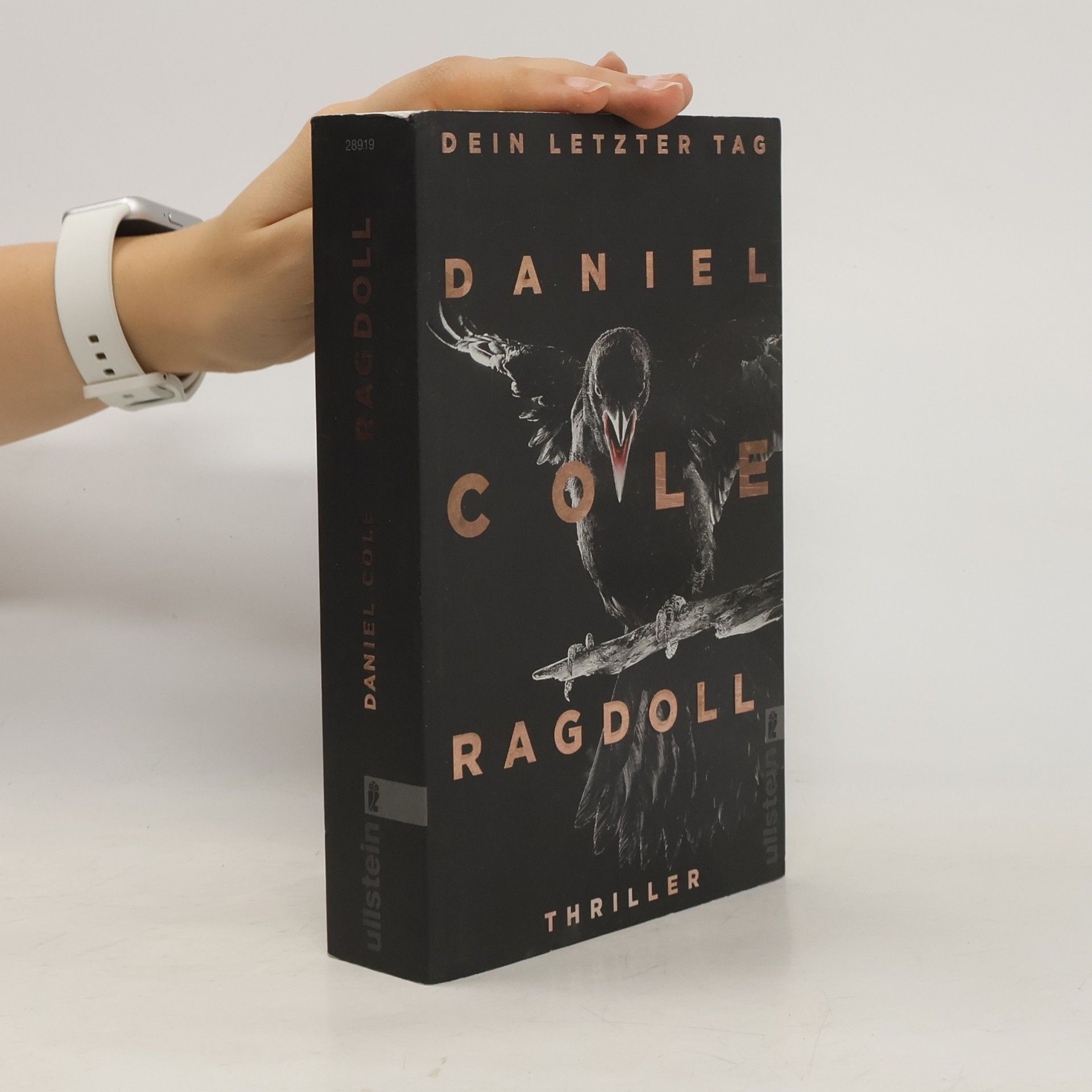 Daniel Cole Ragdoll