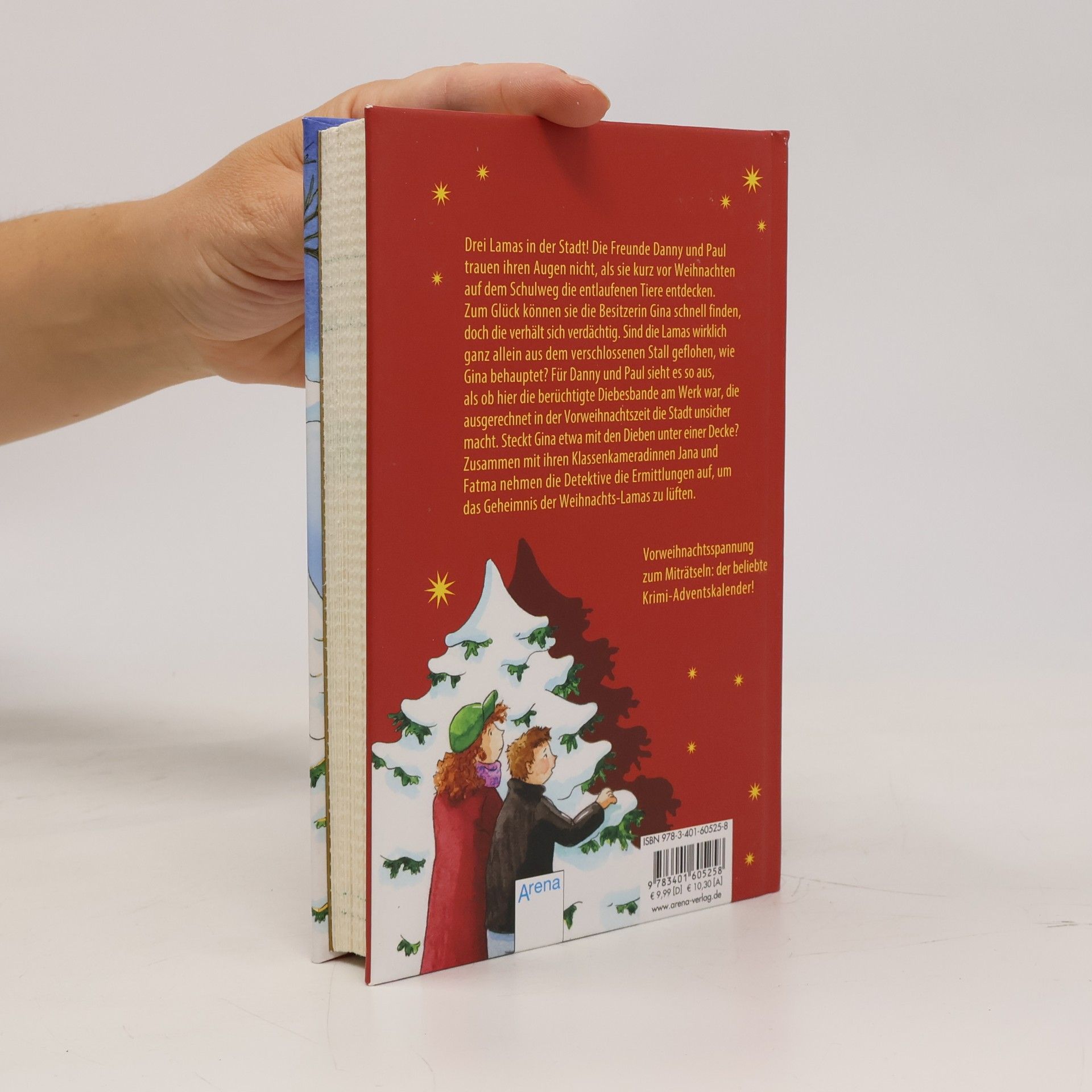 Jo Pestum Drei Weihnachts-Lamas in Gefahr. Ein Weihnachtskrimi. Adventskalender-Buch in 24 Kapiteln. Ab 10 Jahren