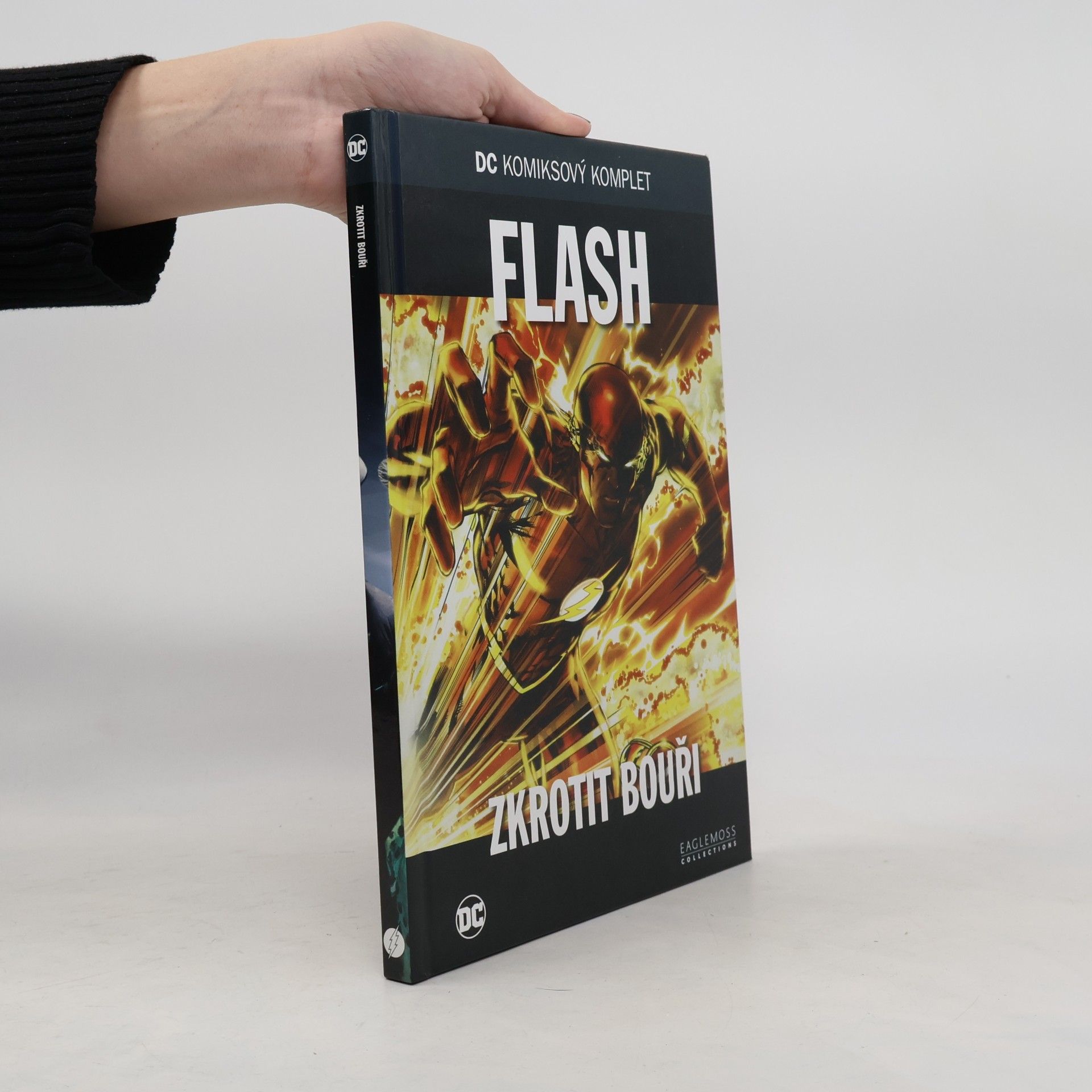 Danny Bilson Flash. Zkrotit bouři