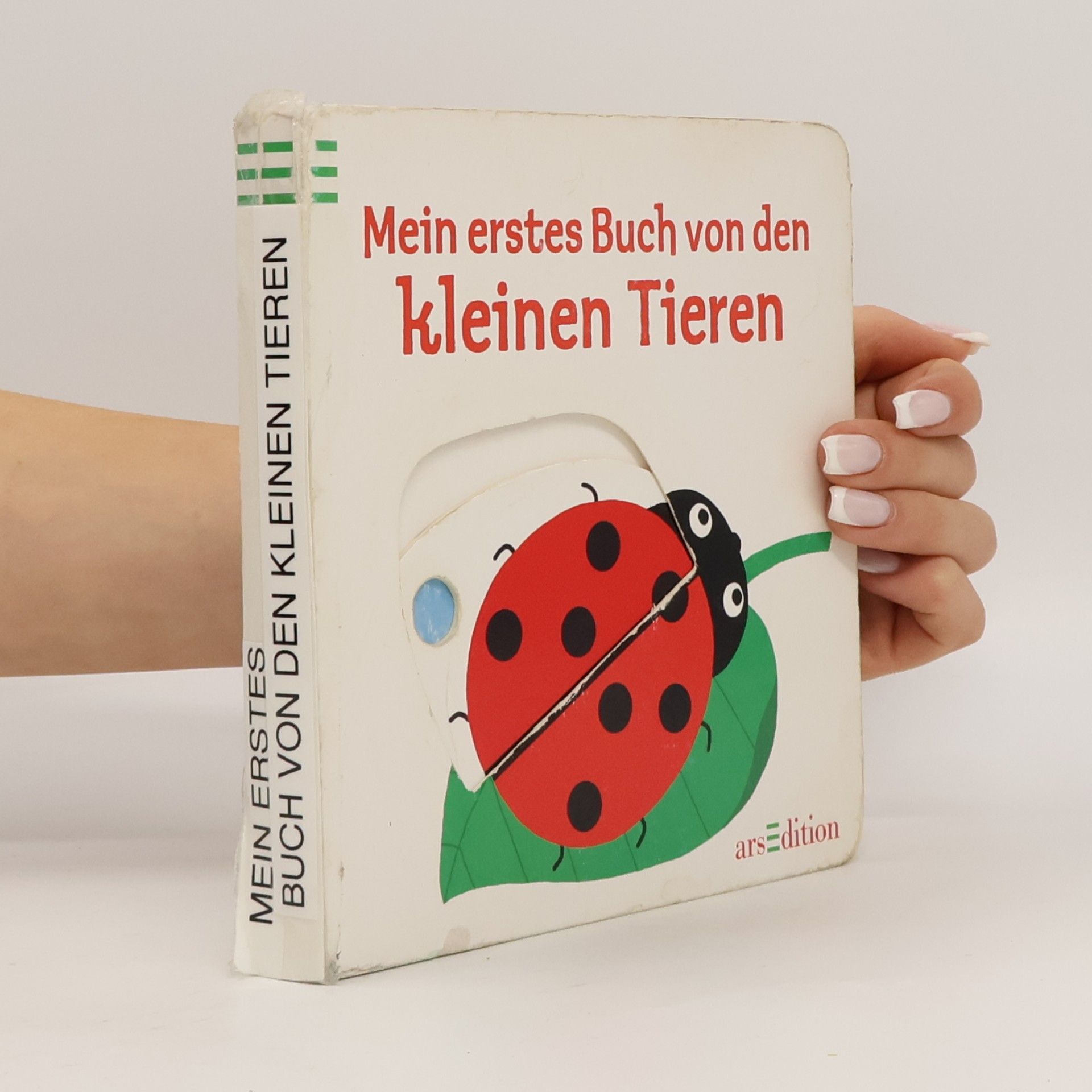 Autorenkollektiv Mein erstes Buch von den kleinen Tieren