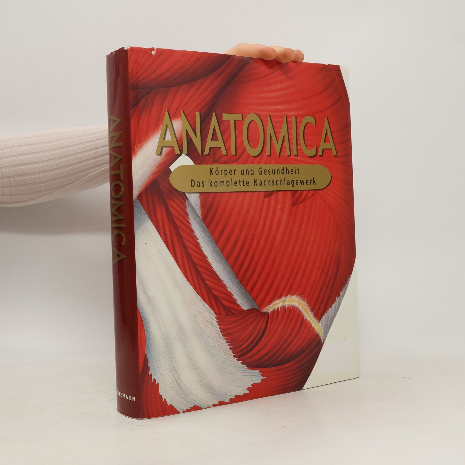 Gordon Cheers Anatomica