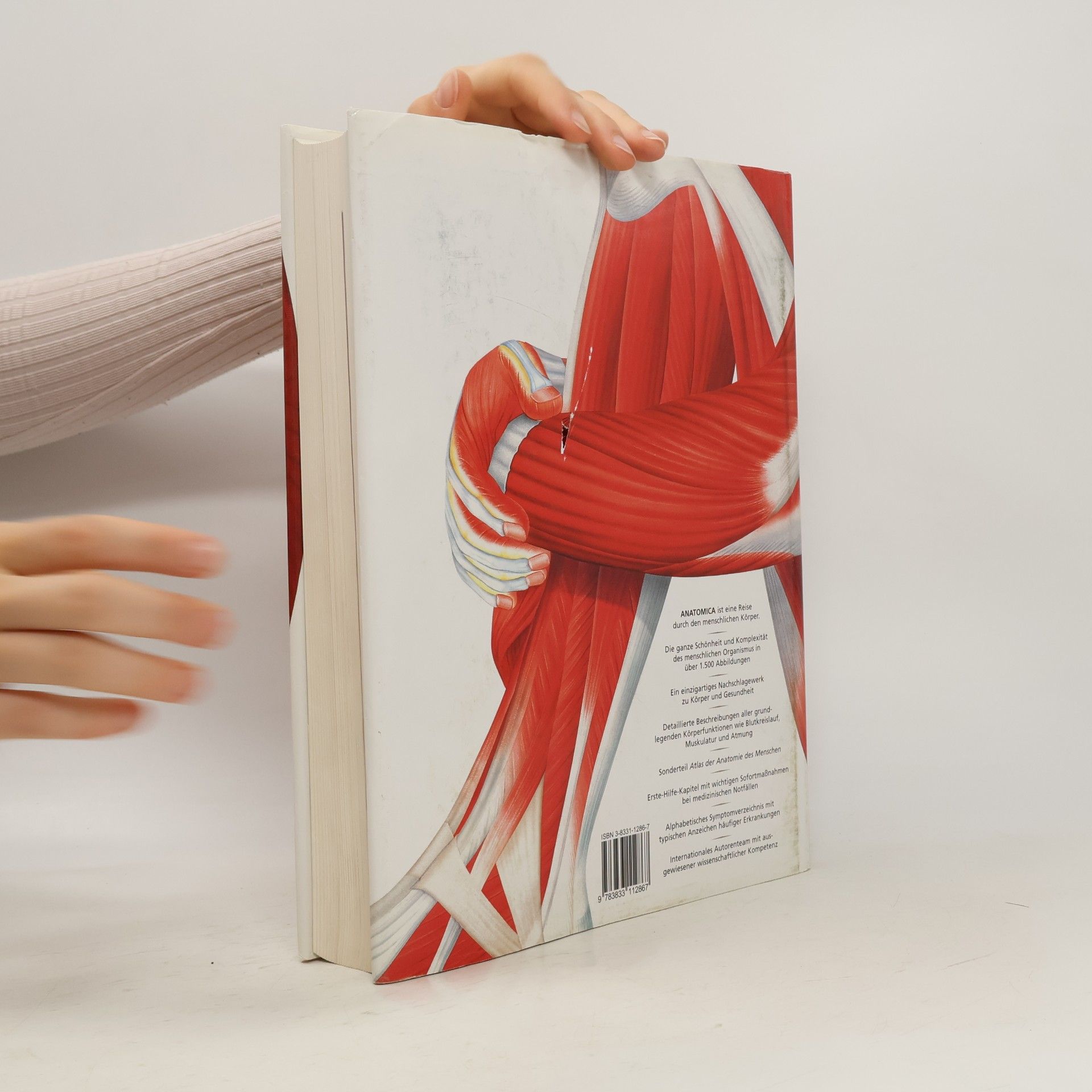 Gordon Cheers Anatomica