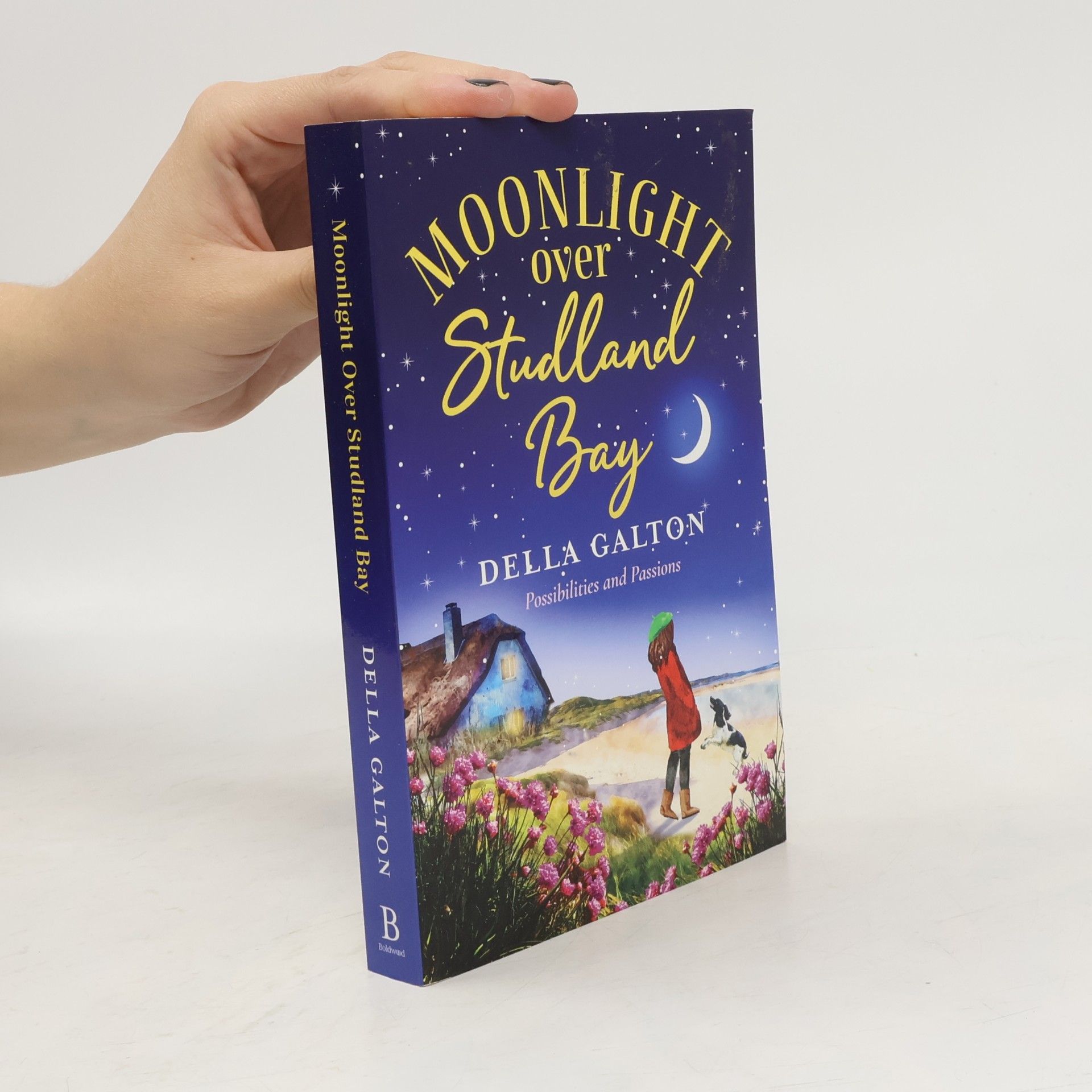 Della Galton Moonlight Over Studland Bay