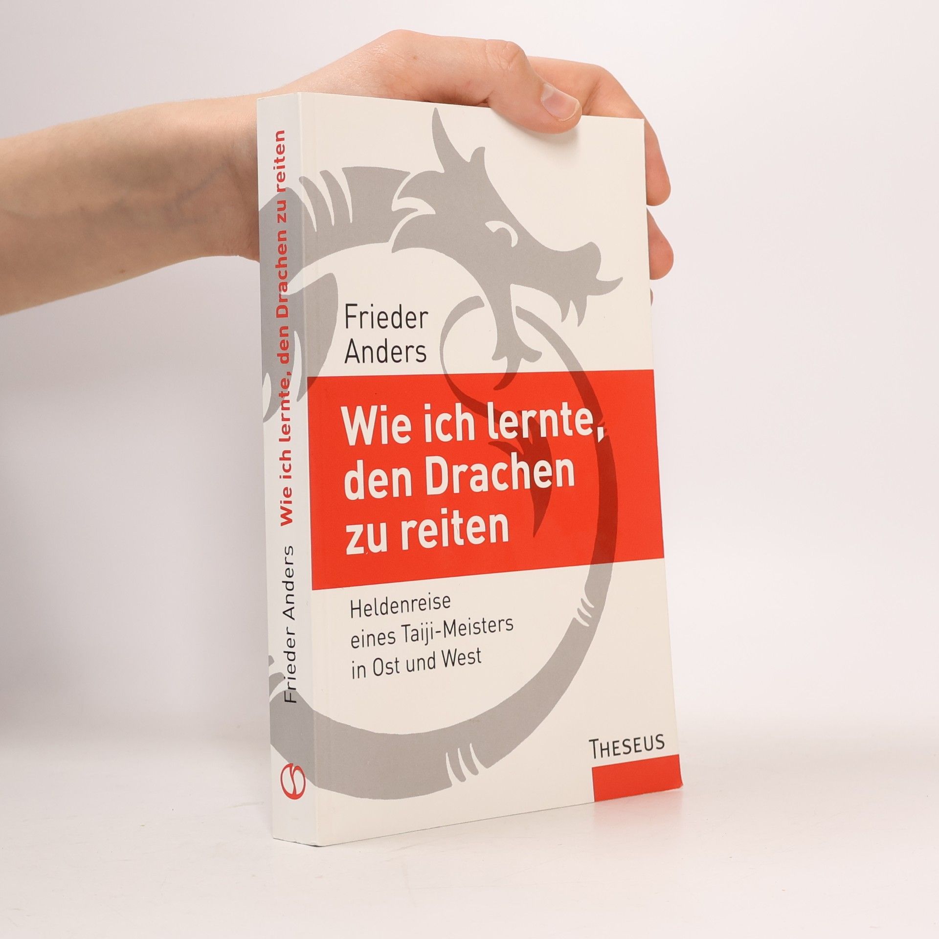Frieder Anders Wie ich lernte, den Drachen zu reiten