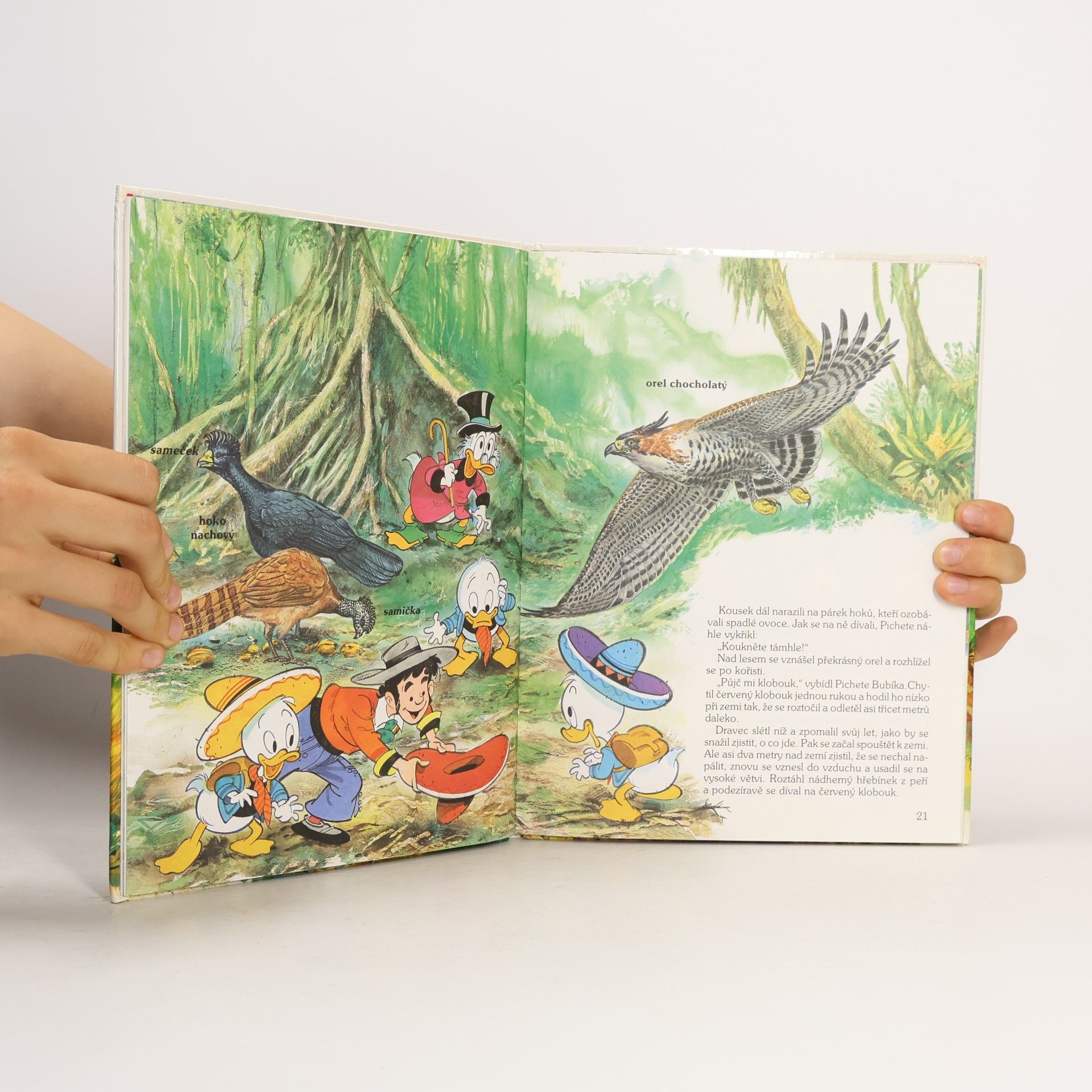 Walt Disney Za tajemstvím pralesa