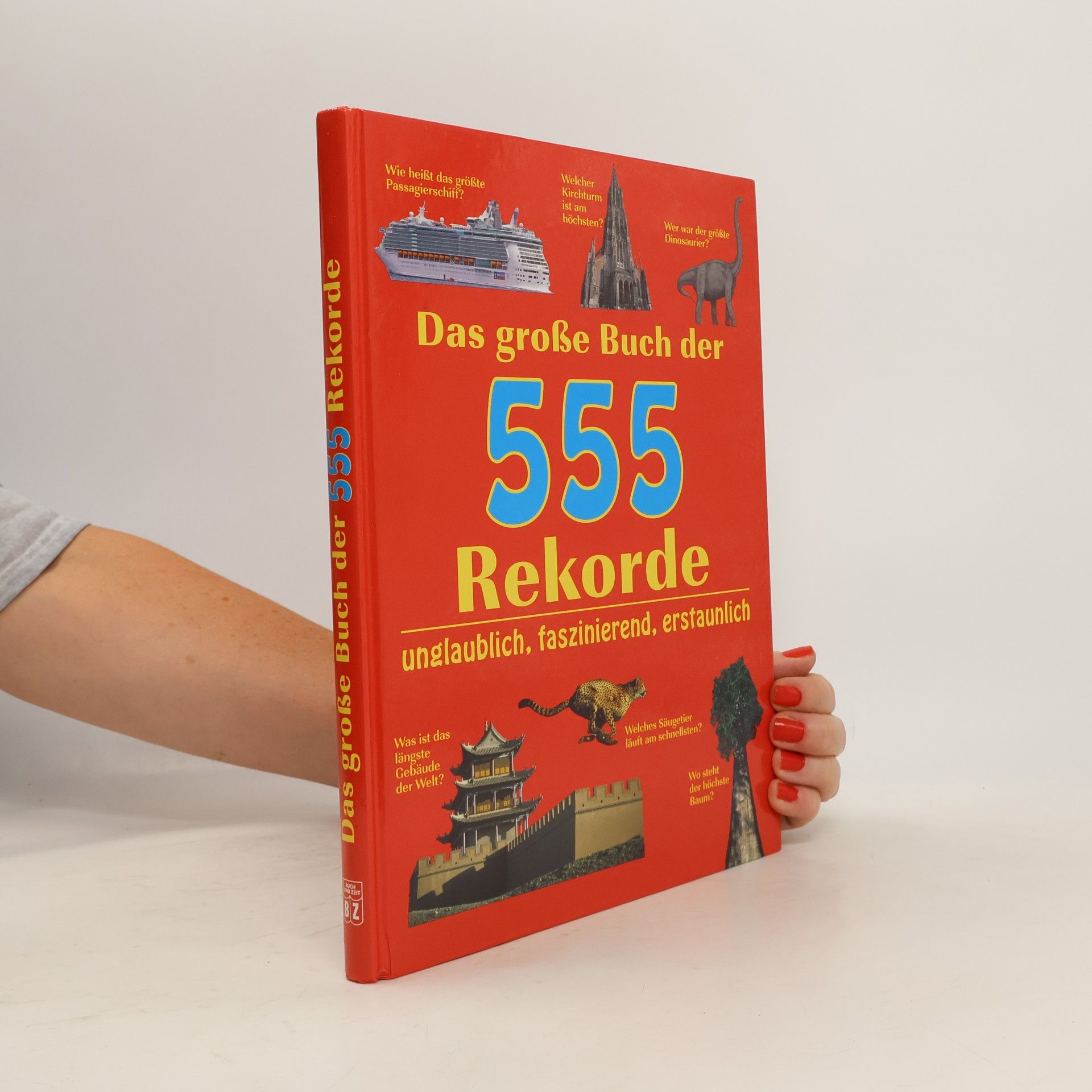Birgit Brauburger Das große Buch der 555 Rekorde