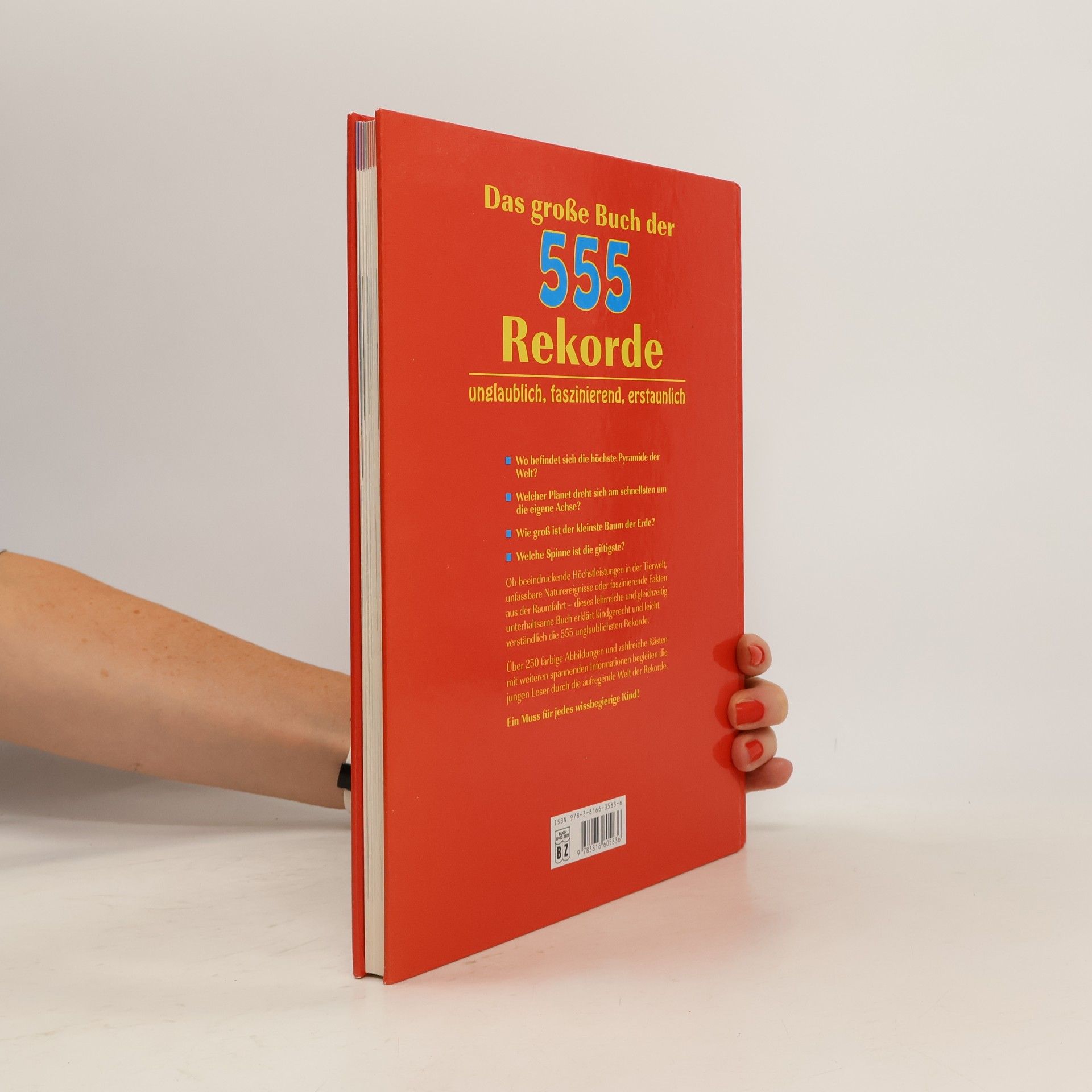 Birgit Brauburger Das große Buch der 555 Rekorde