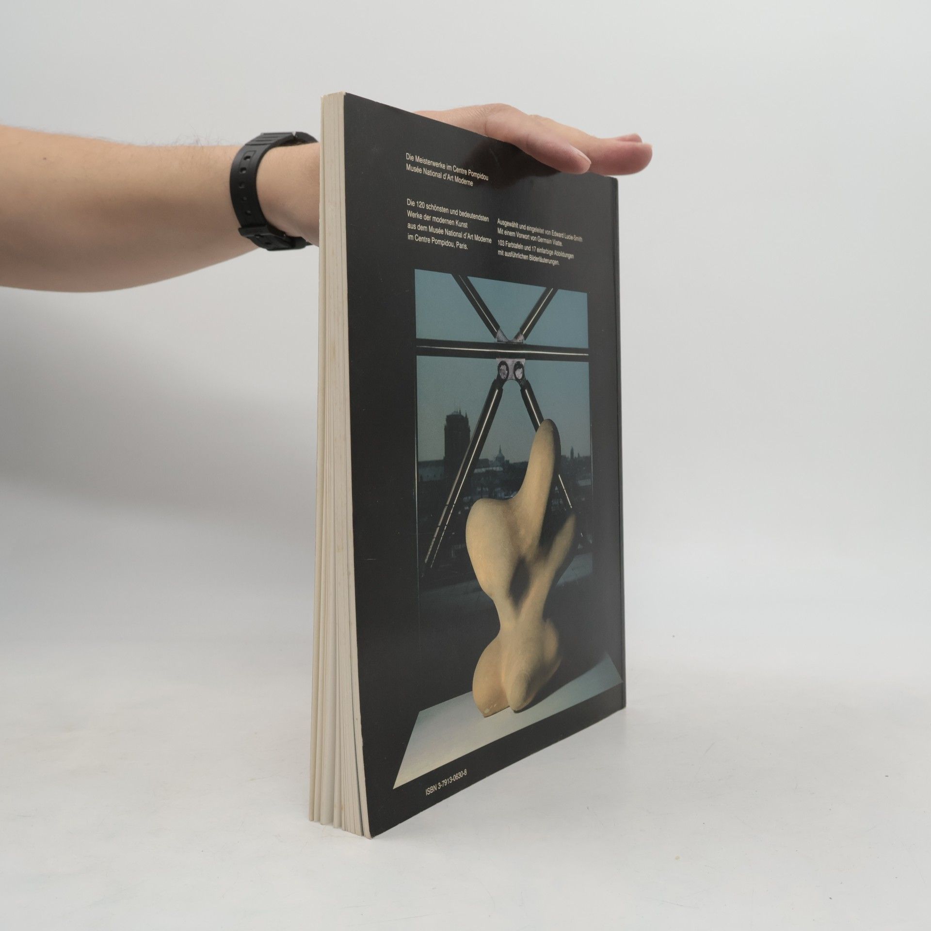 Edward Lucie Smith Die Meisterwerke im Centre Georges Pompidou