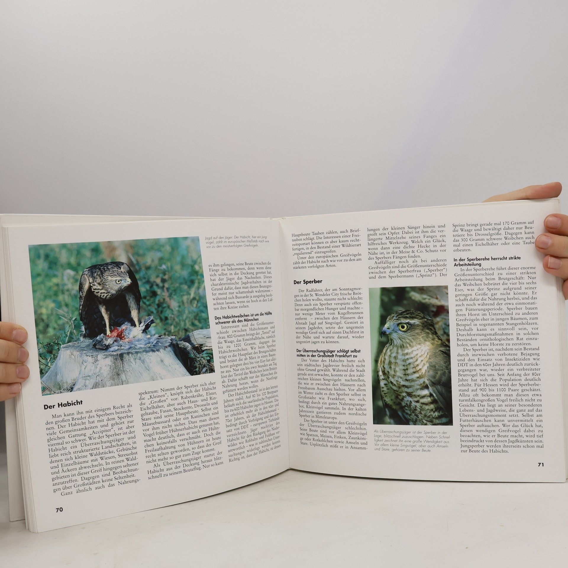 Autorenkollektiv ... und die ganze Vogelschar