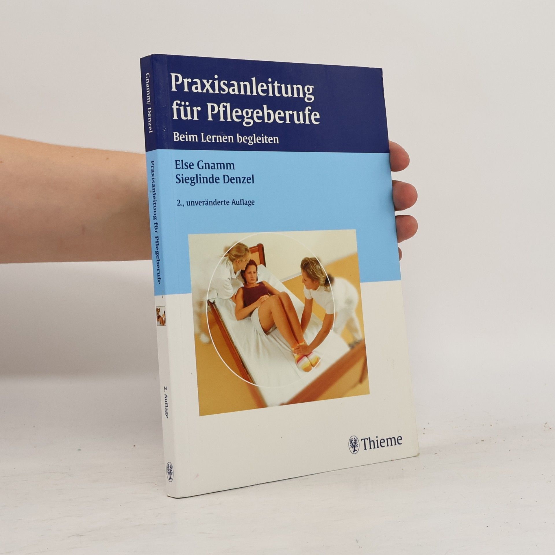 Lucio Cecconi Praxisanleitung für Pflegeberufe - 2., unveränderte Auflage