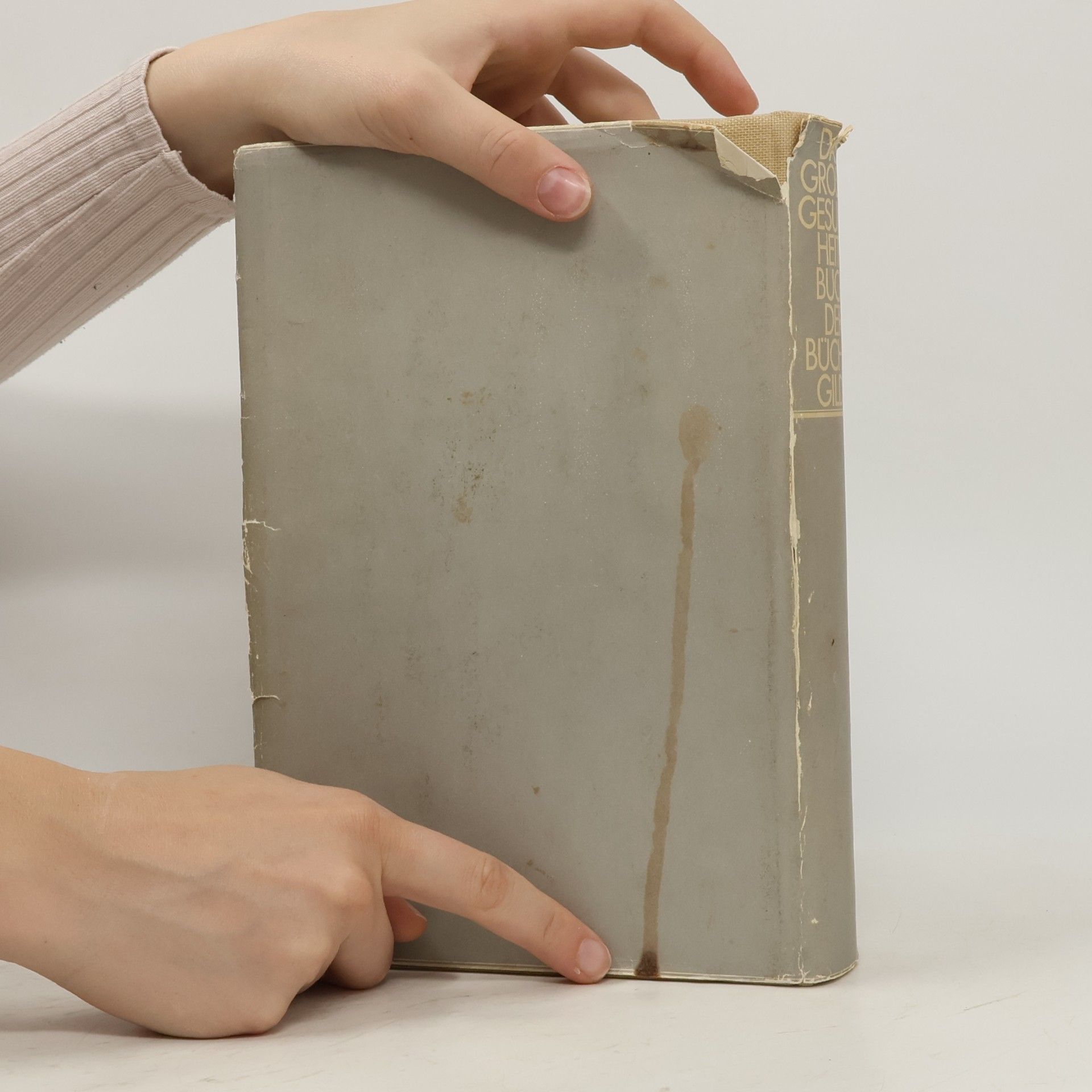 Christa Narciss Das grosse Gesundheitsbuch der Büchergilde