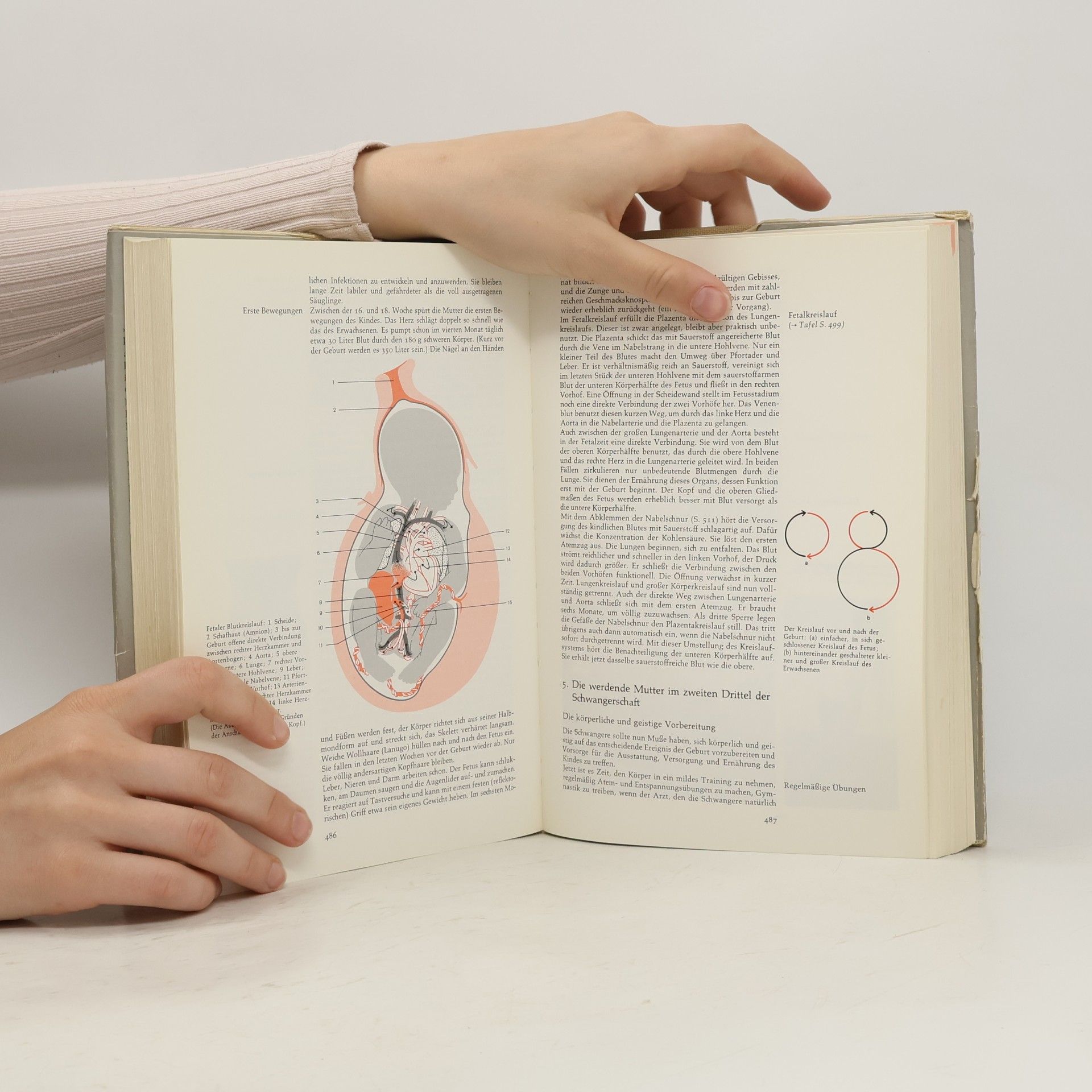 Christa Narciss Das grosse Gesundheitsbuch der Büchergilde