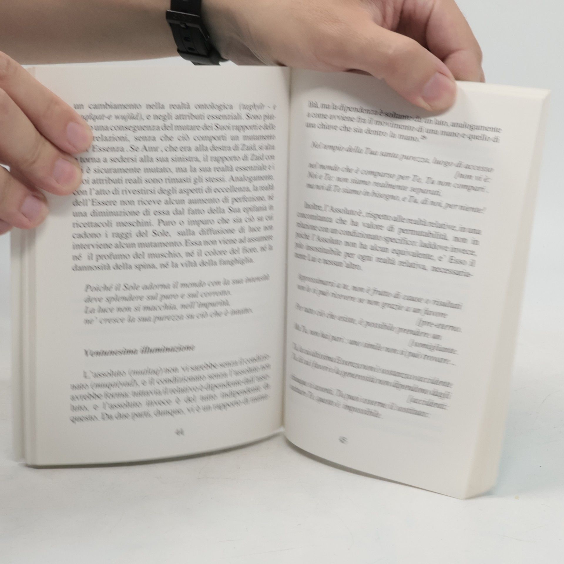 Abd al Rahmân Jâmi Classici del sufismo: Frammenti di luce