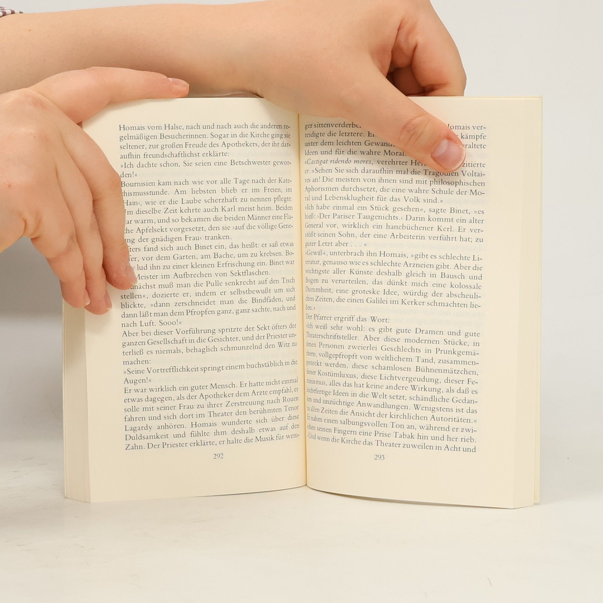 Gustave Flaubert Madame Bovary