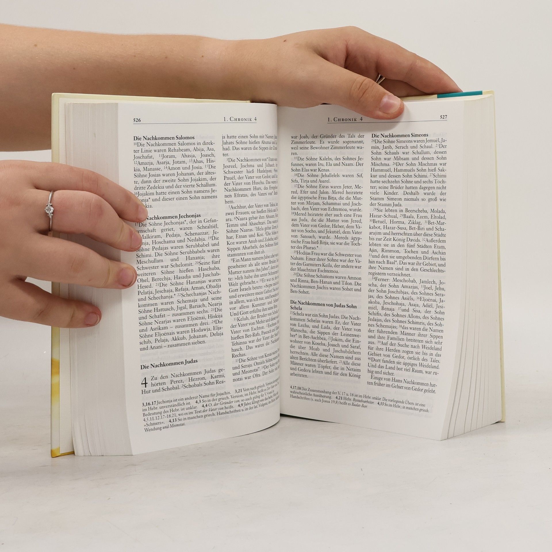 Neues Leben. Die Bibel - Motiv Blüte gelb