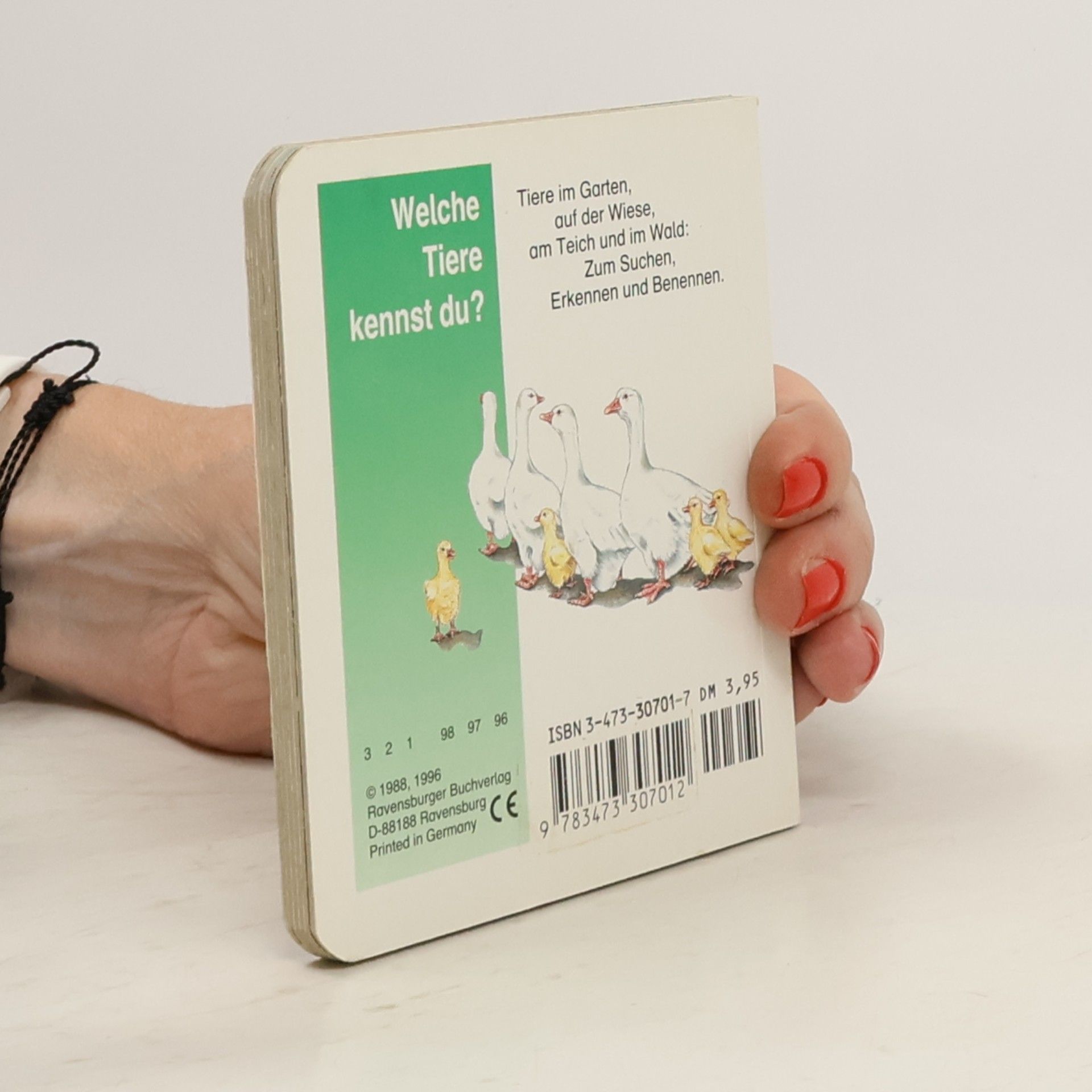 Kristina Steffens Welche Tiere kennst du? - Miniaturbuch