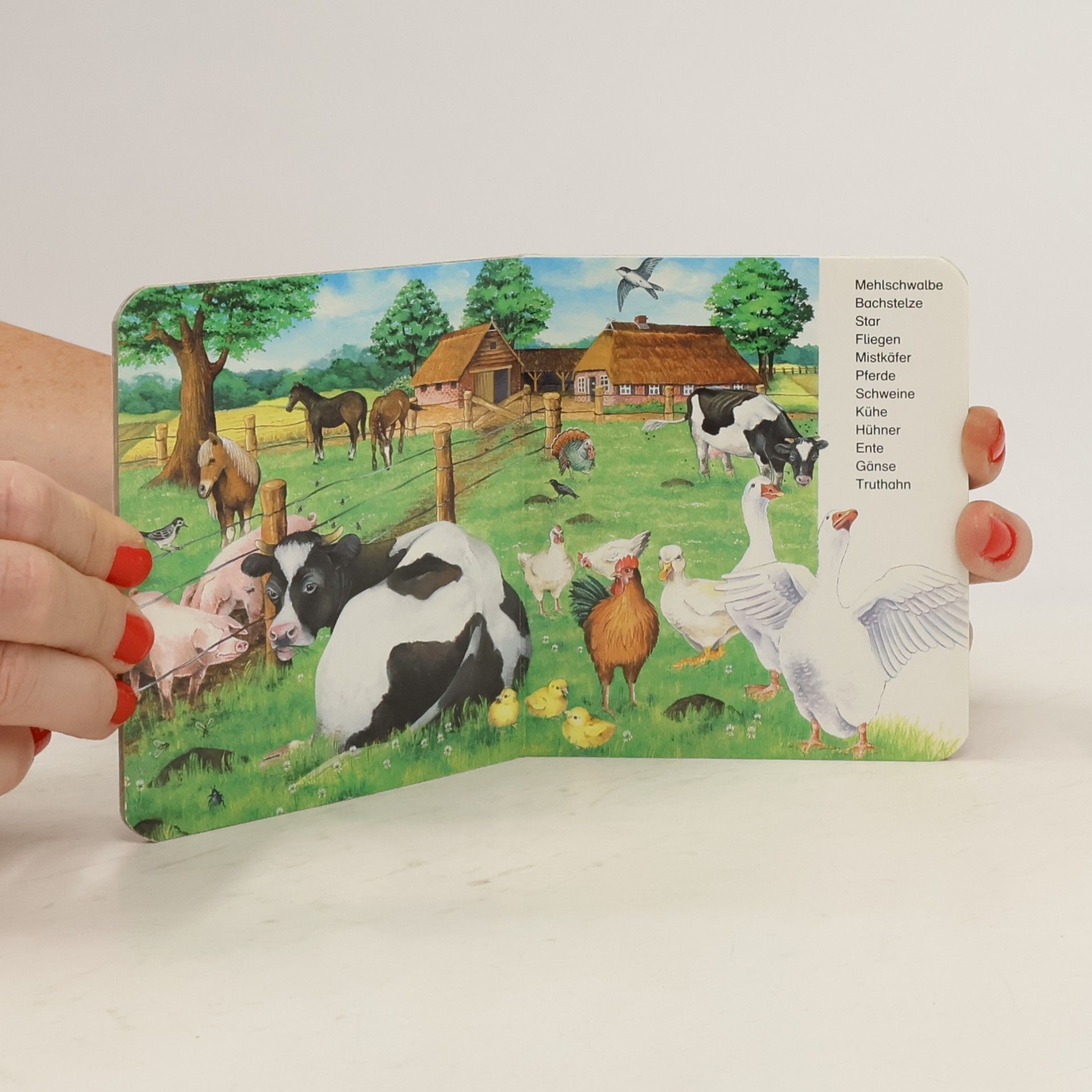 Kristina Steffens Welche Tiere kennst du? - Miniaturbuch