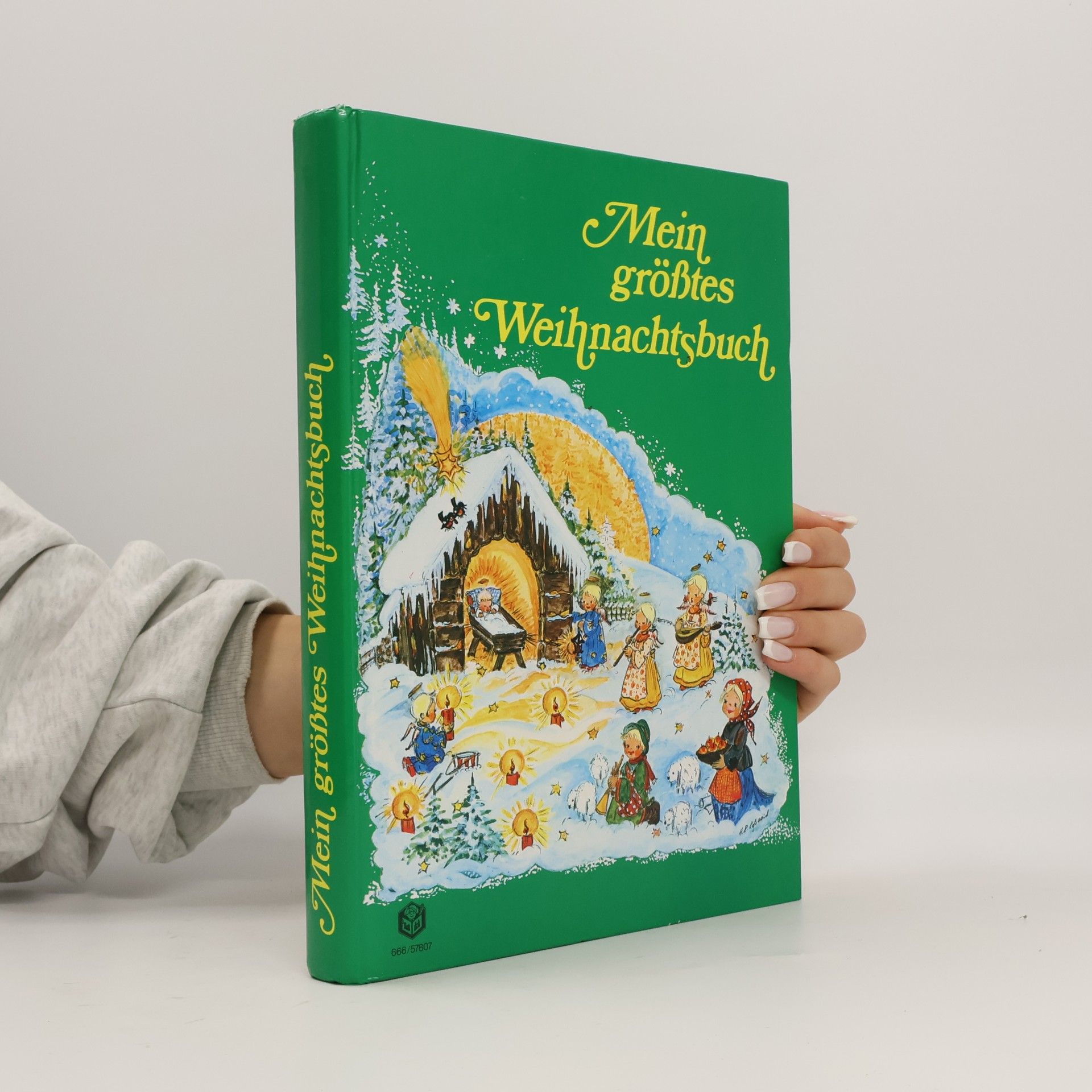 Kolektiv autorů Mein größtes Weihnachtsbuch