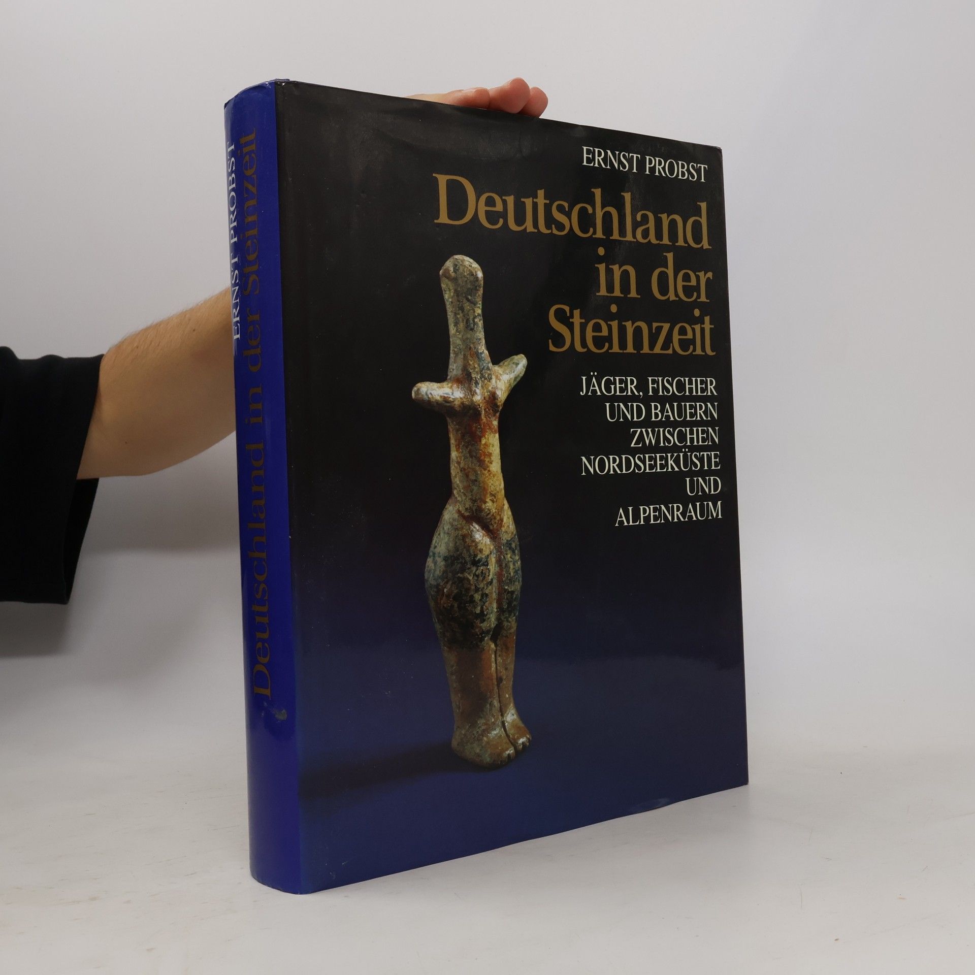 Serge Ernst Deutschland in der Steinzeit