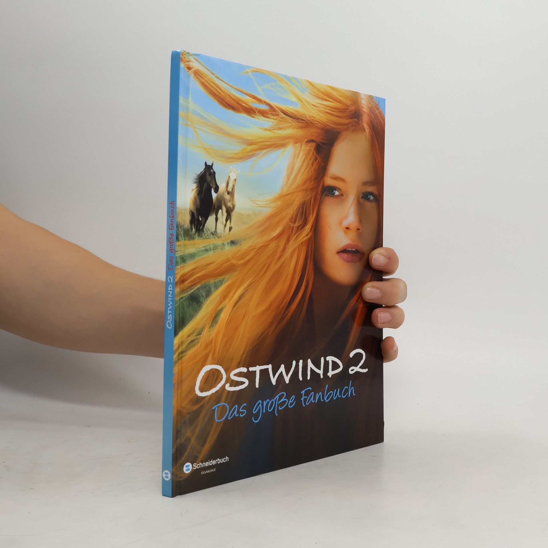 Collectif d'auteurs Ostwind 2 : Das große Fanbuch