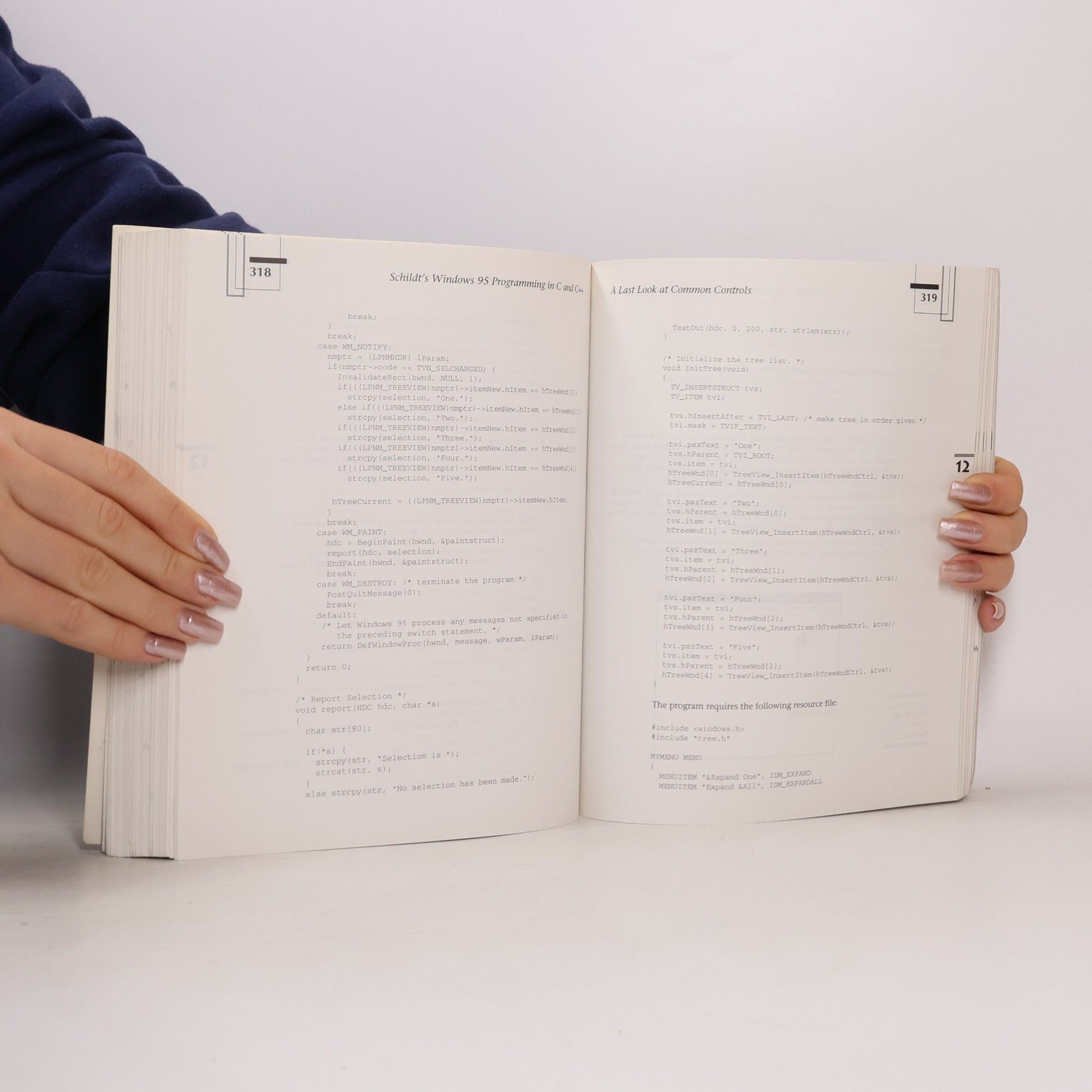 Herbert Schildt Schildt's Windows 95 Programming in C and C++