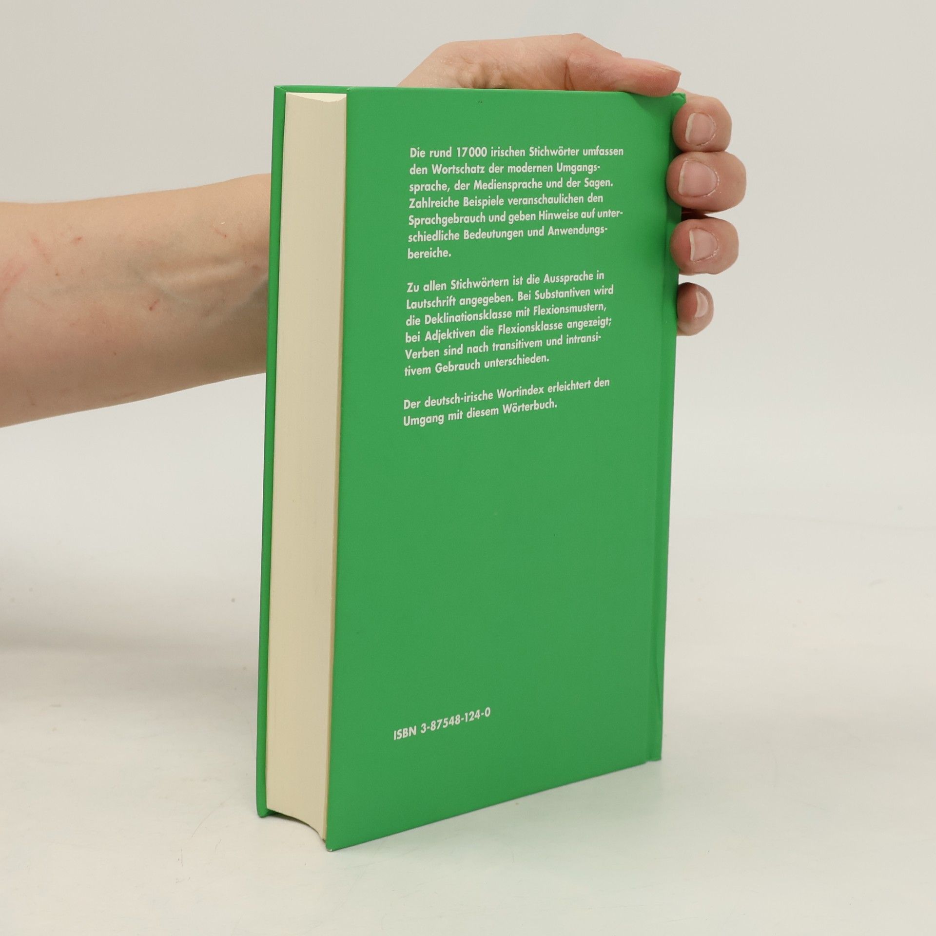 Thomas Feito Caldas Wörterbuch Irisch-Deutsch