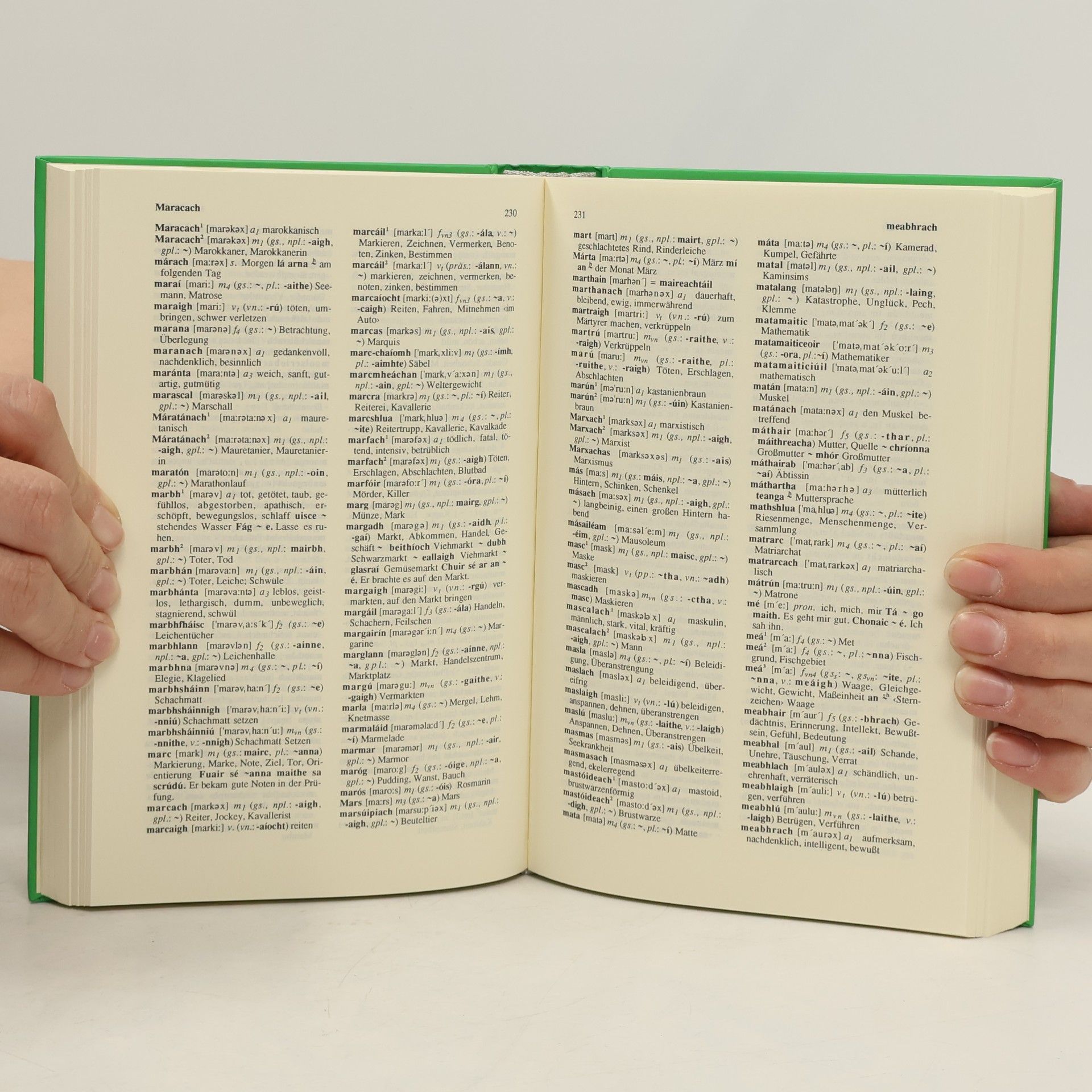 Thomas Feito Caldas Wörterbuch Irisch-Deutsch