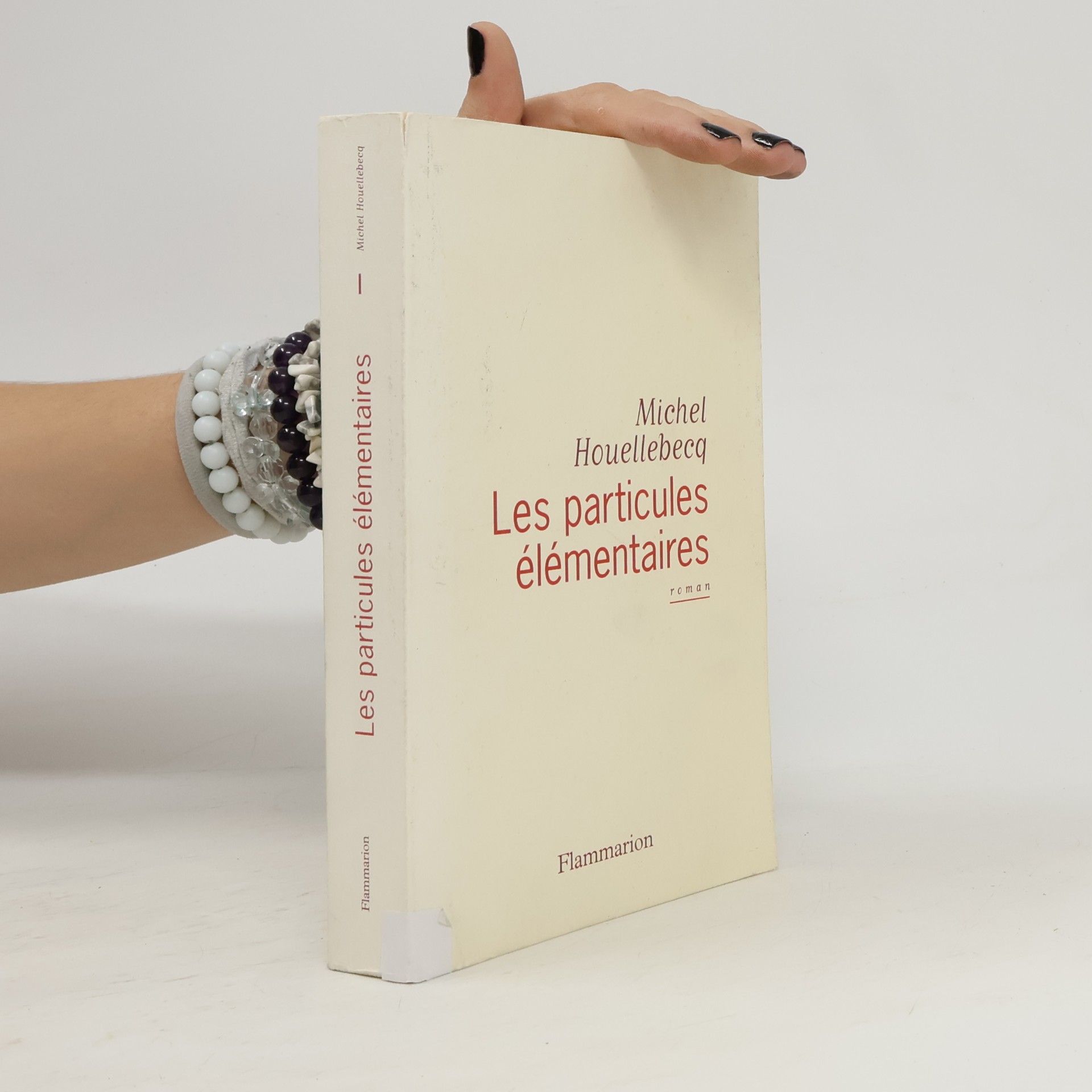 Michel Houellebecq Les Particules élémentaires