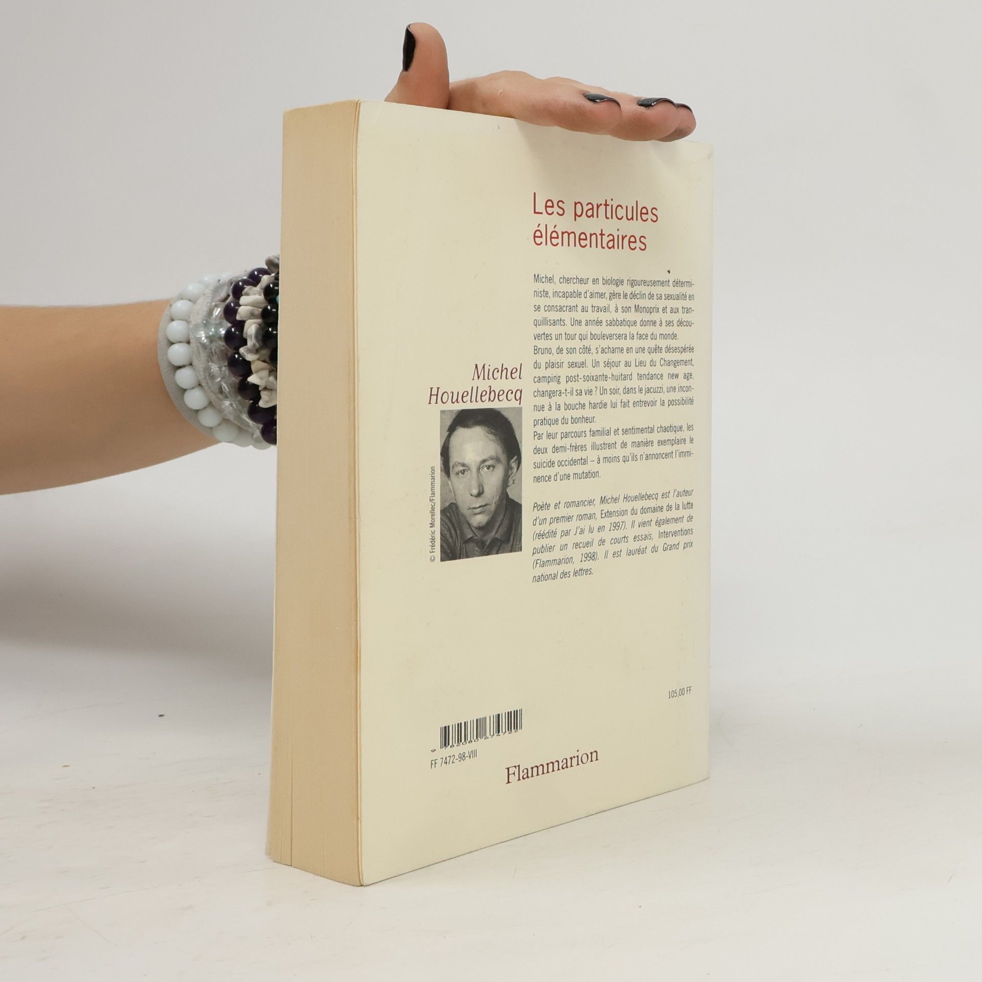 Michel Houellebecq Les Particules élémentaires
