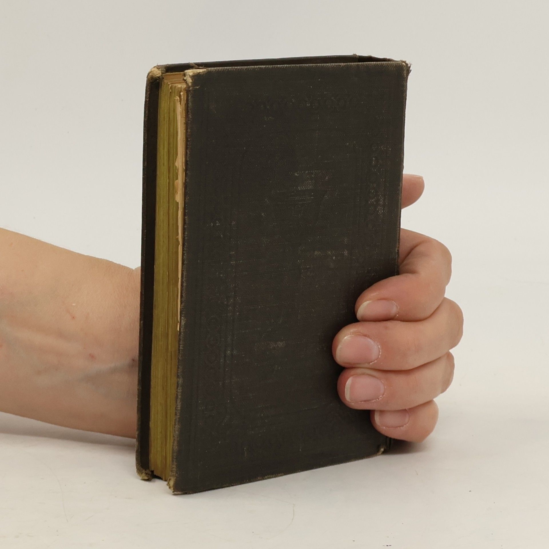 Kolektiv autorů Evangelisches Gesangbuch