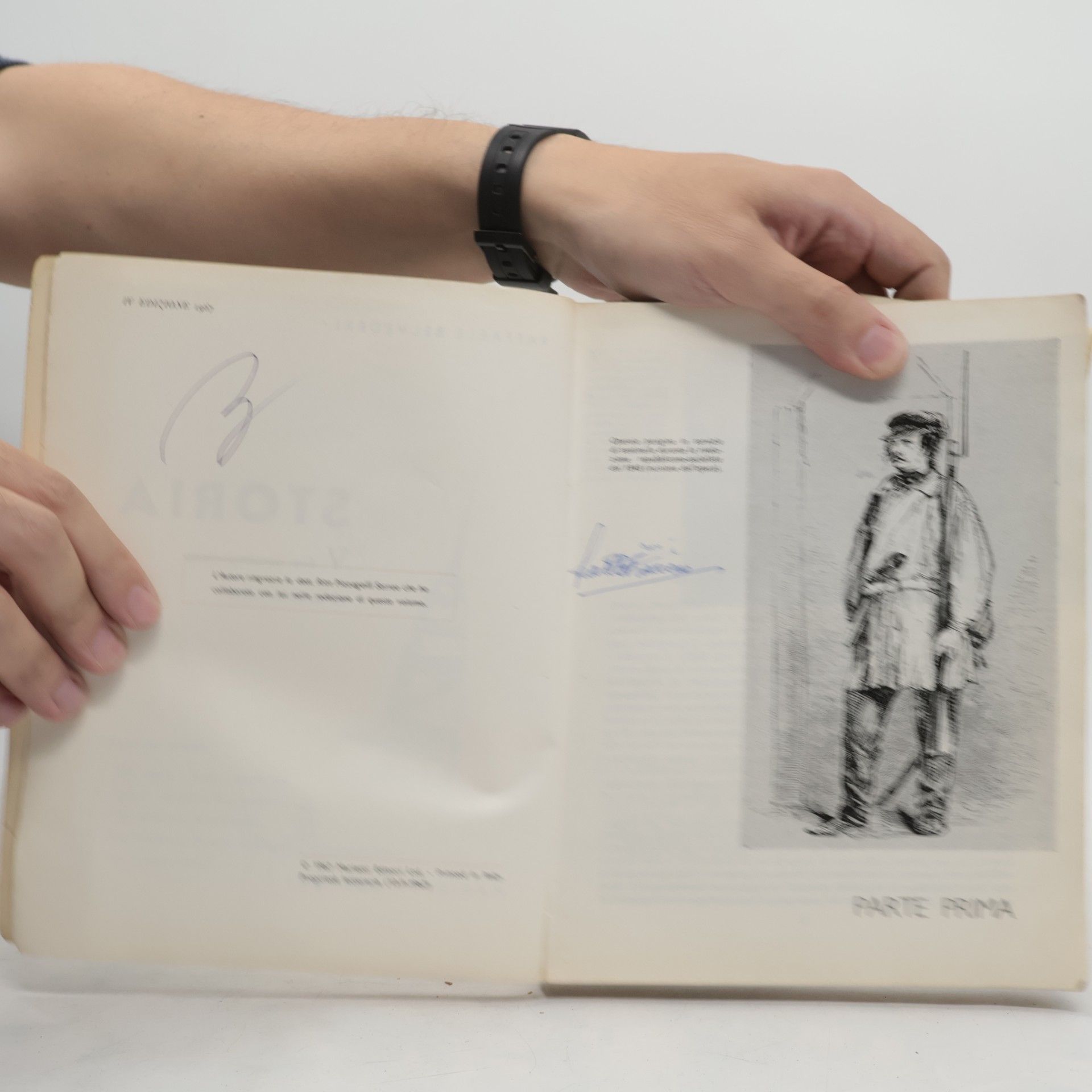 Raffaele Belvederi Storia