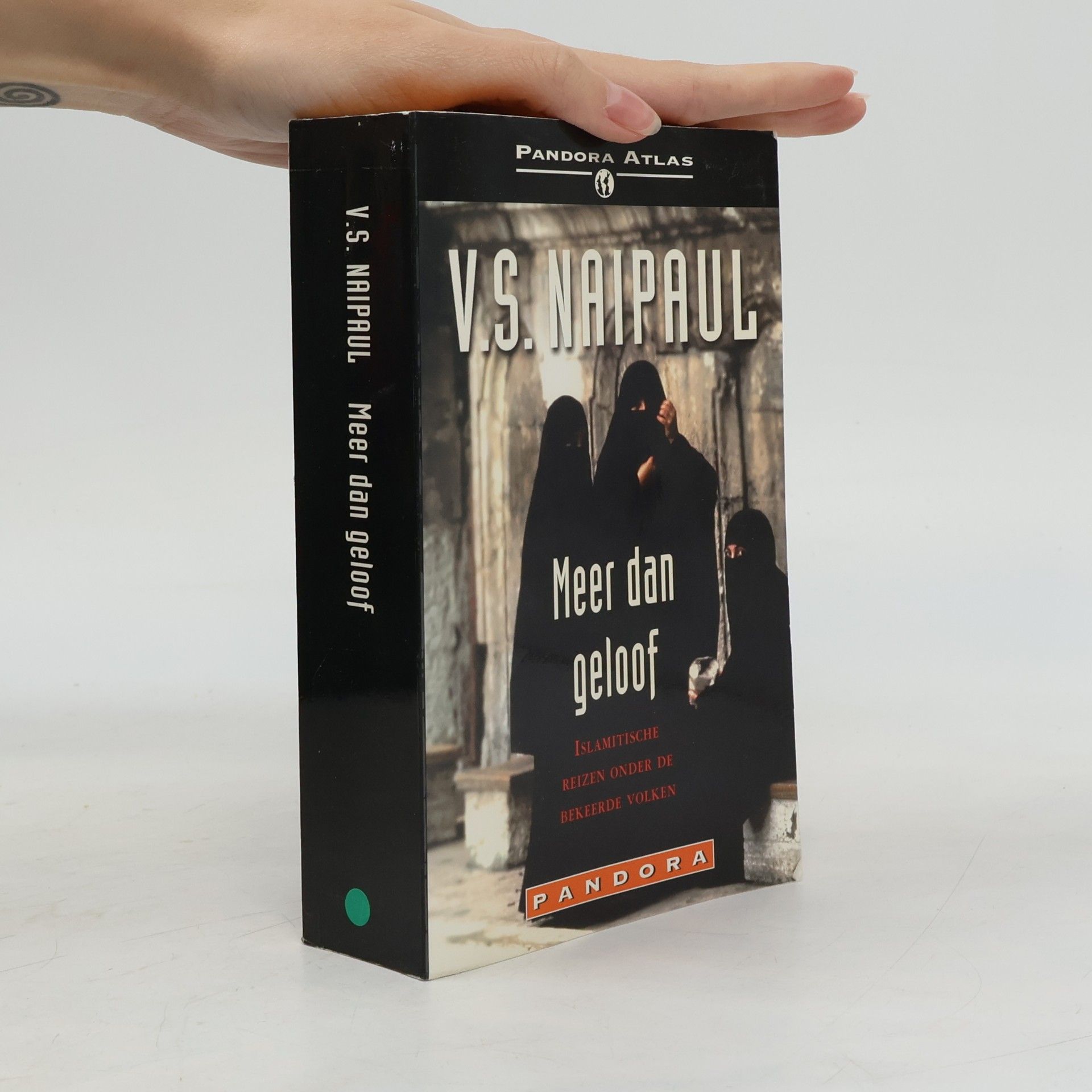 Vidiadhar Surajprasad Naipaul Meer dan geloof - islamitische reizen onder de bekeerde volken