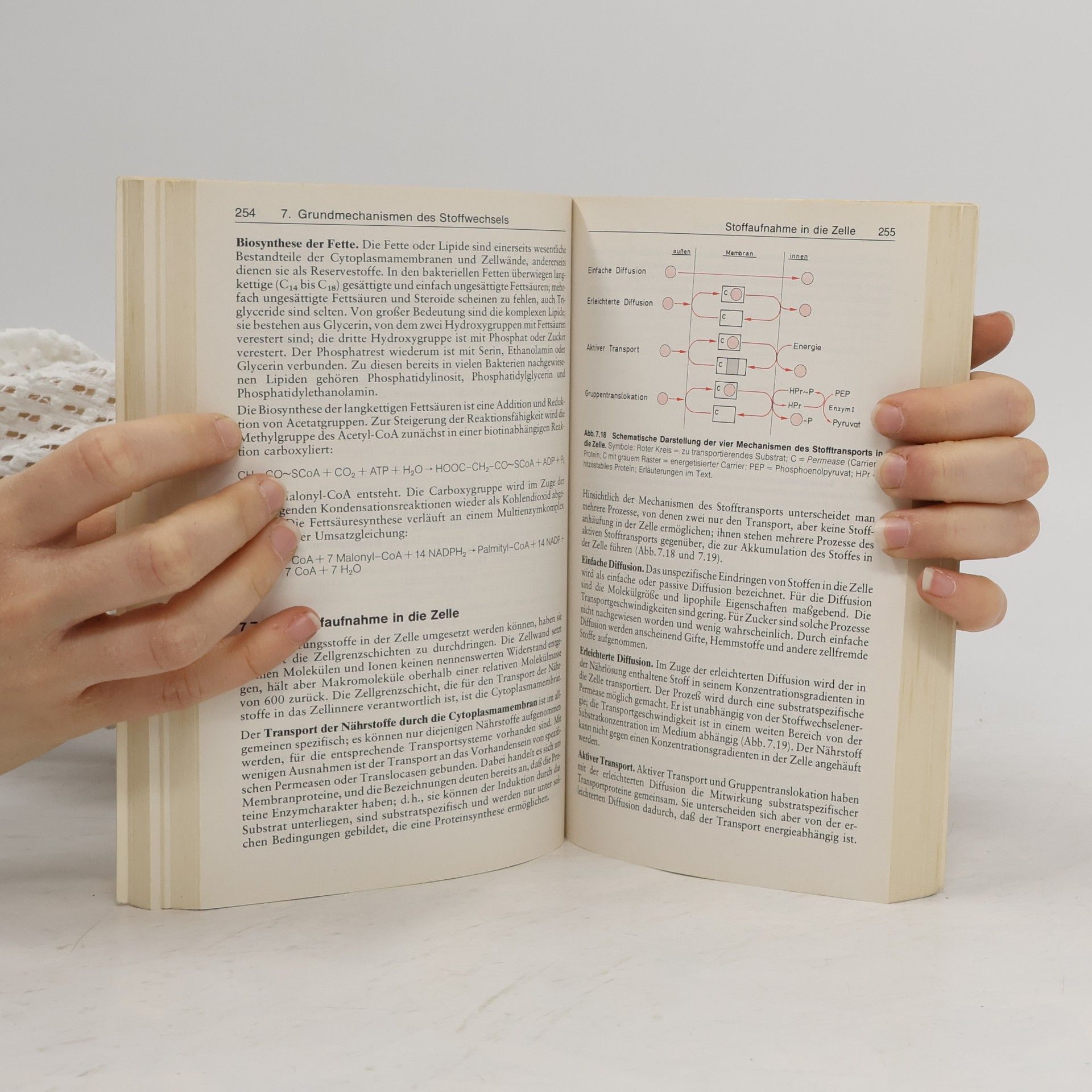 Hans Günter Schlegel Allgemeine Mikrobiologie