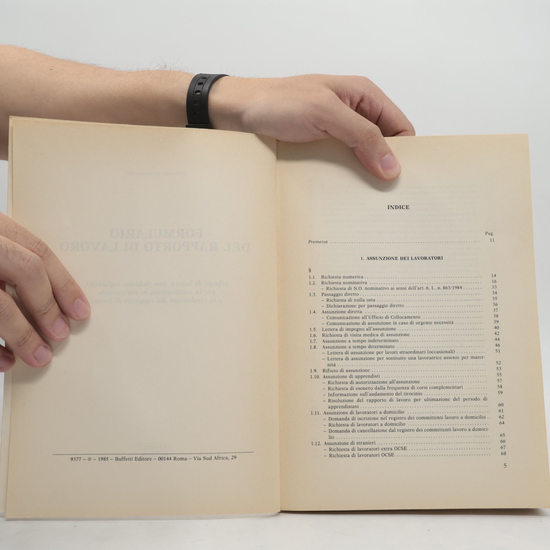 Carmine Bonaccorso Formulario del rapporto di lavoro
