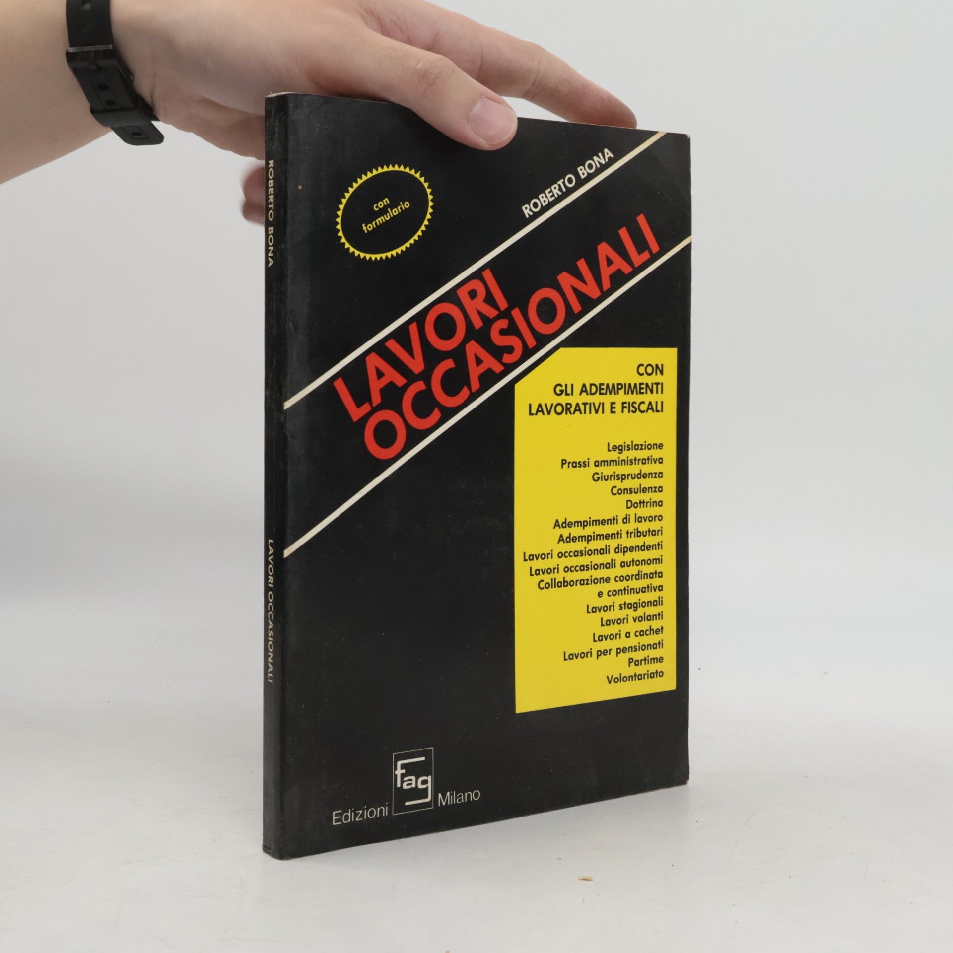 Lavori occasionali