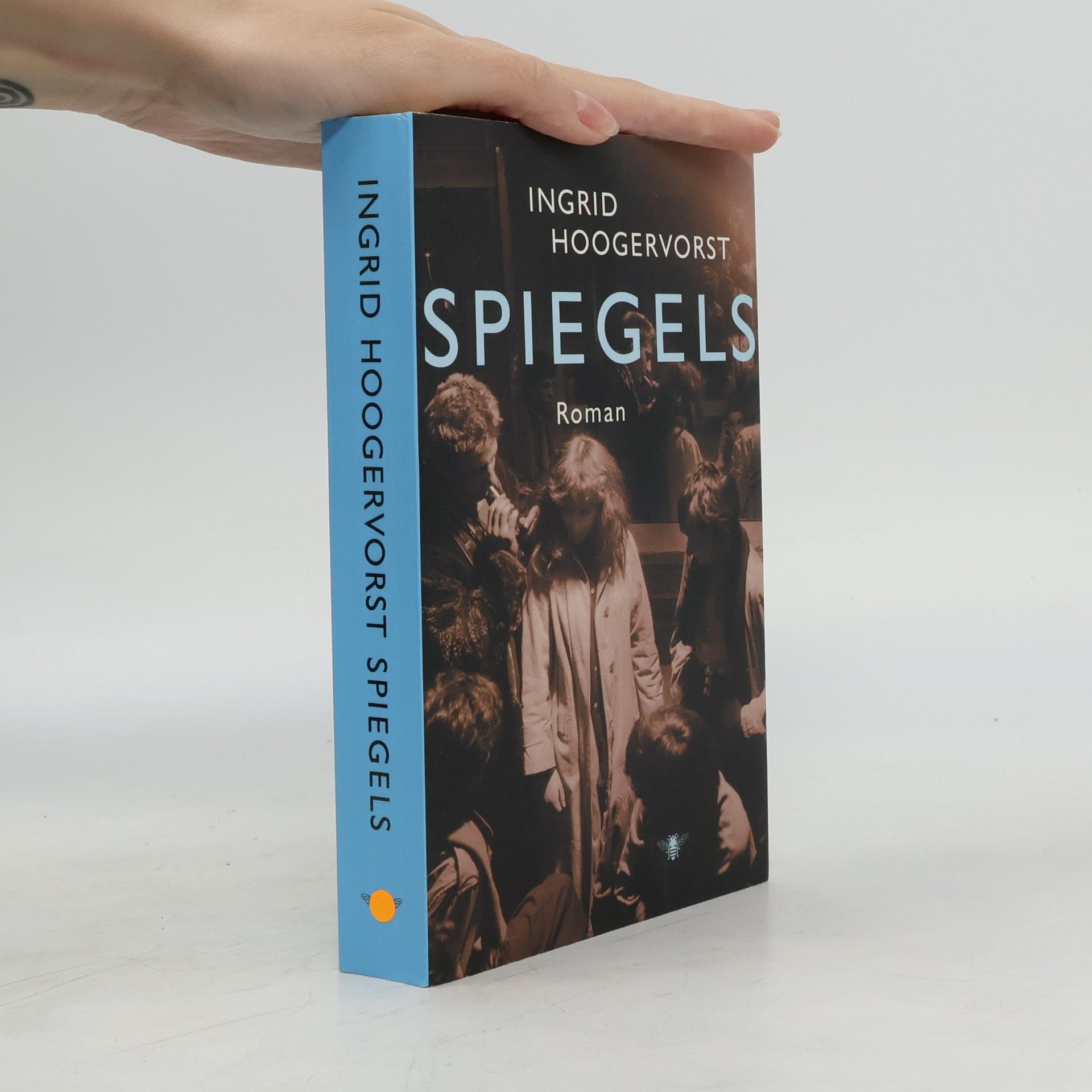 Ingrid Hoogervorst Spiegels