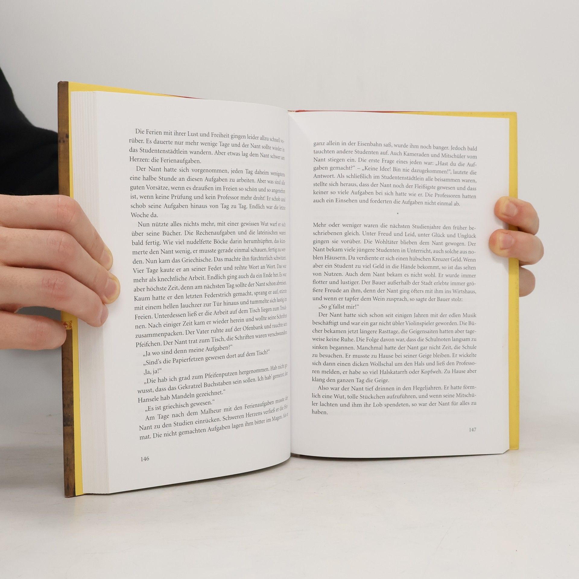 Sebastian Rieger Das große Reimmichl-Lesebuch