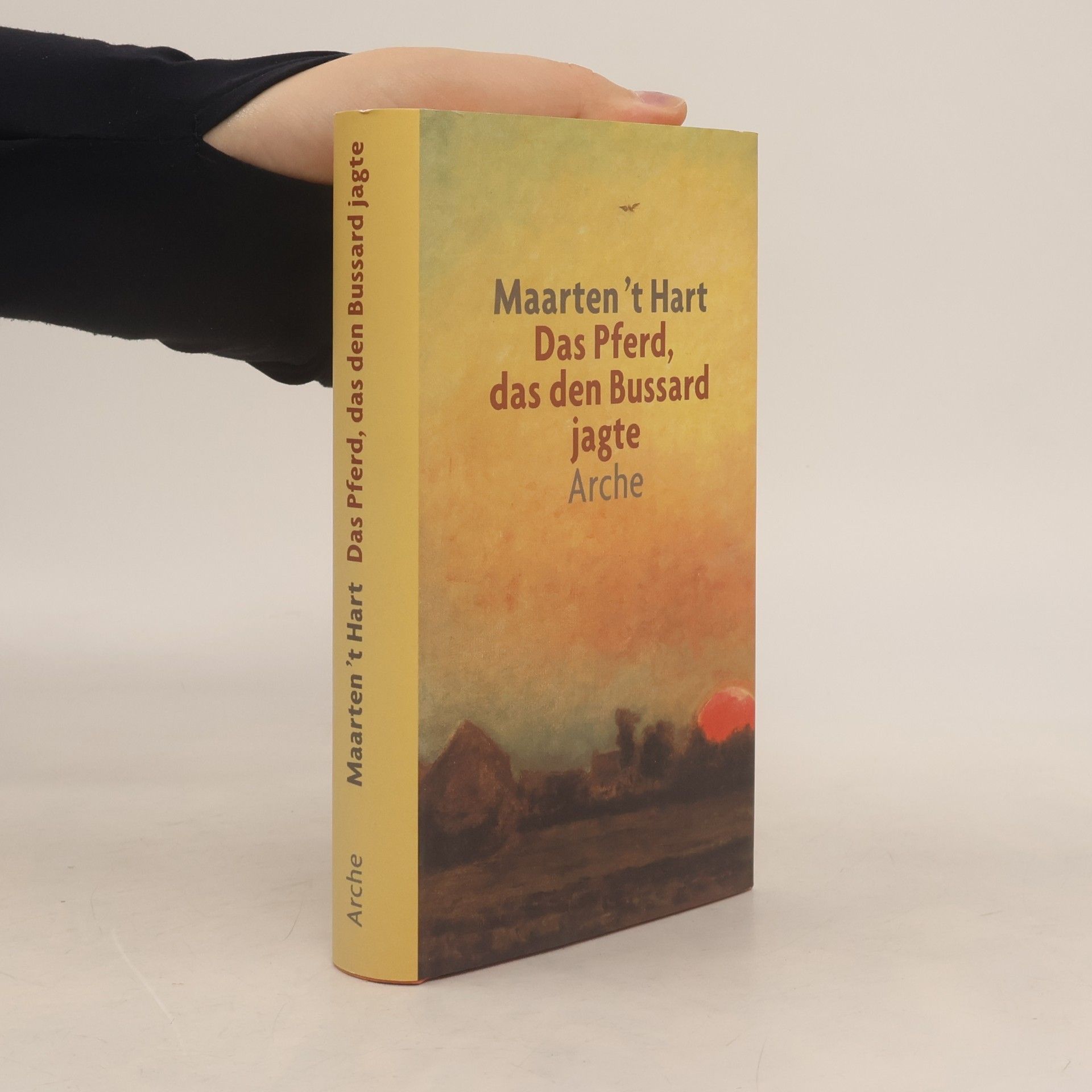 Das Pferd, das den Bussard jagte