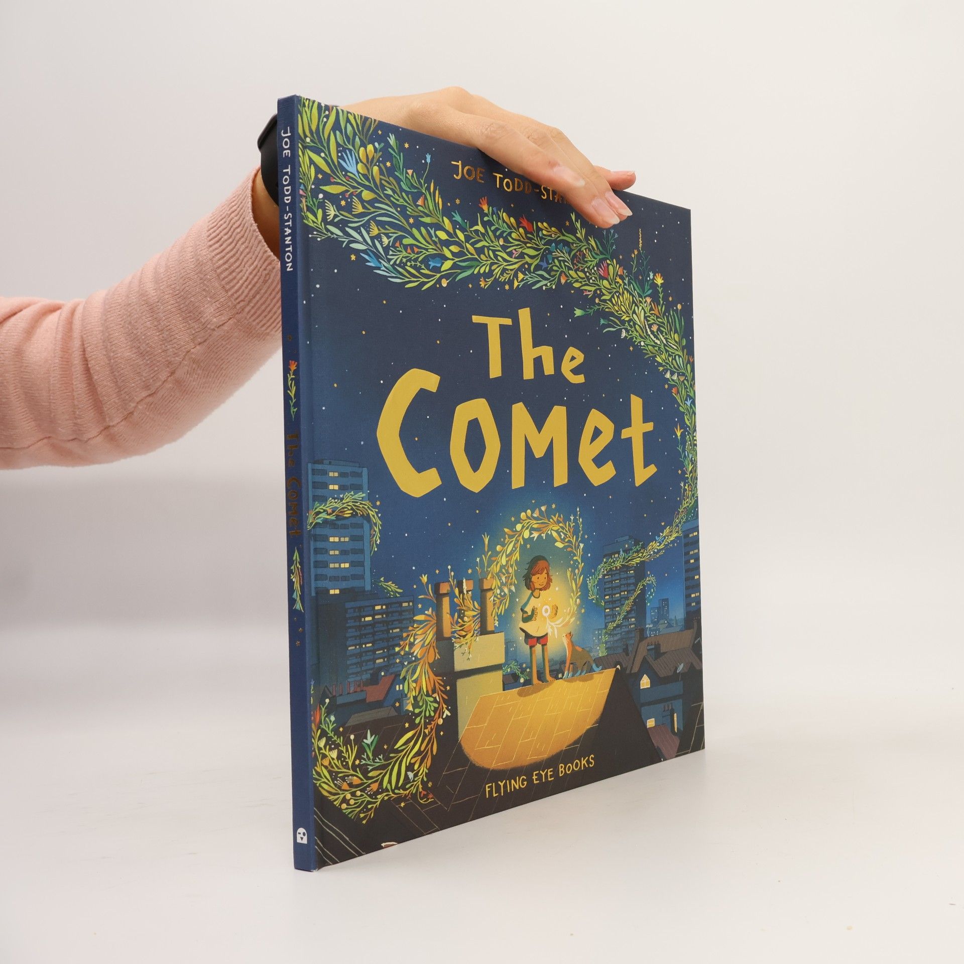 Joe Todd-Stanton The Comet