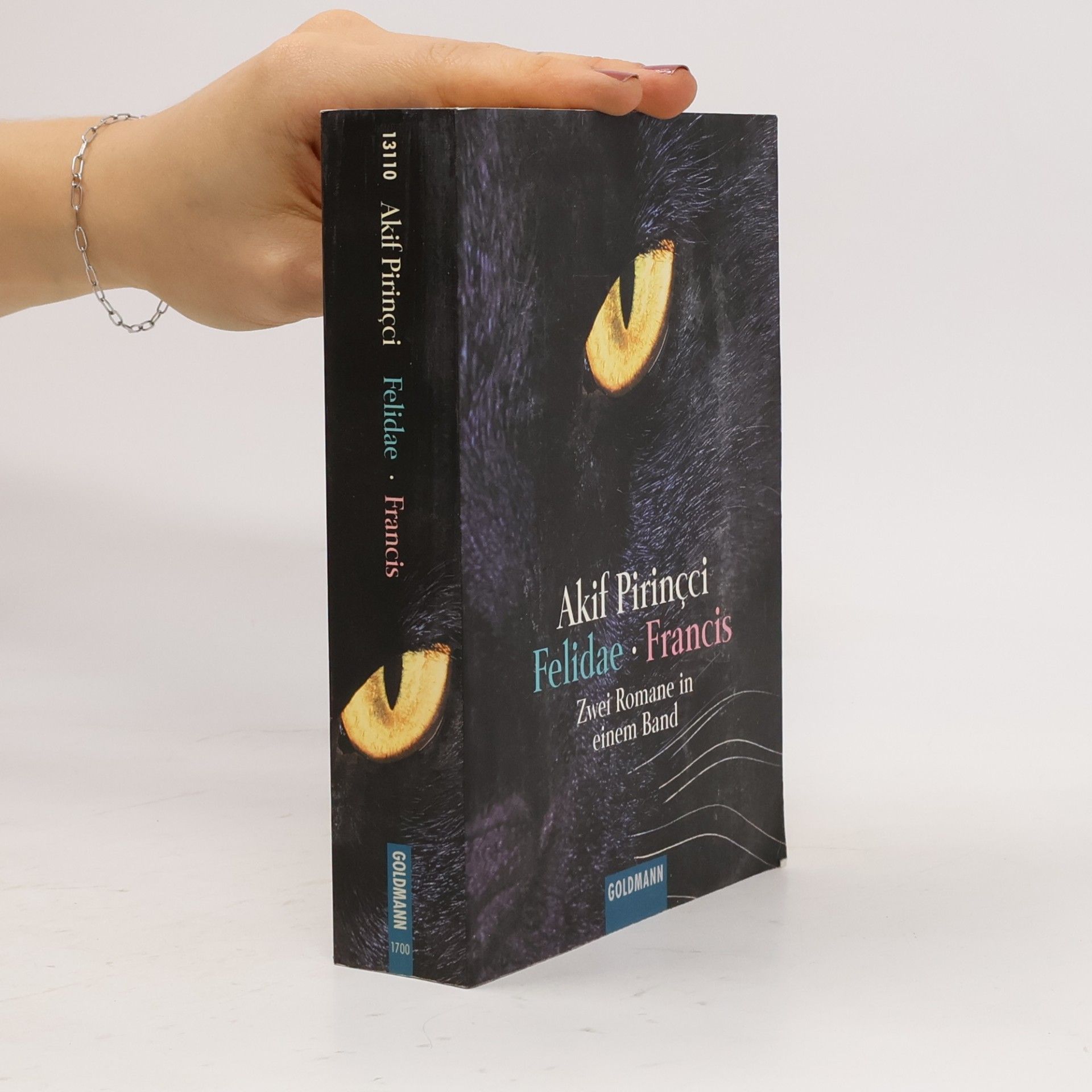 Felidae