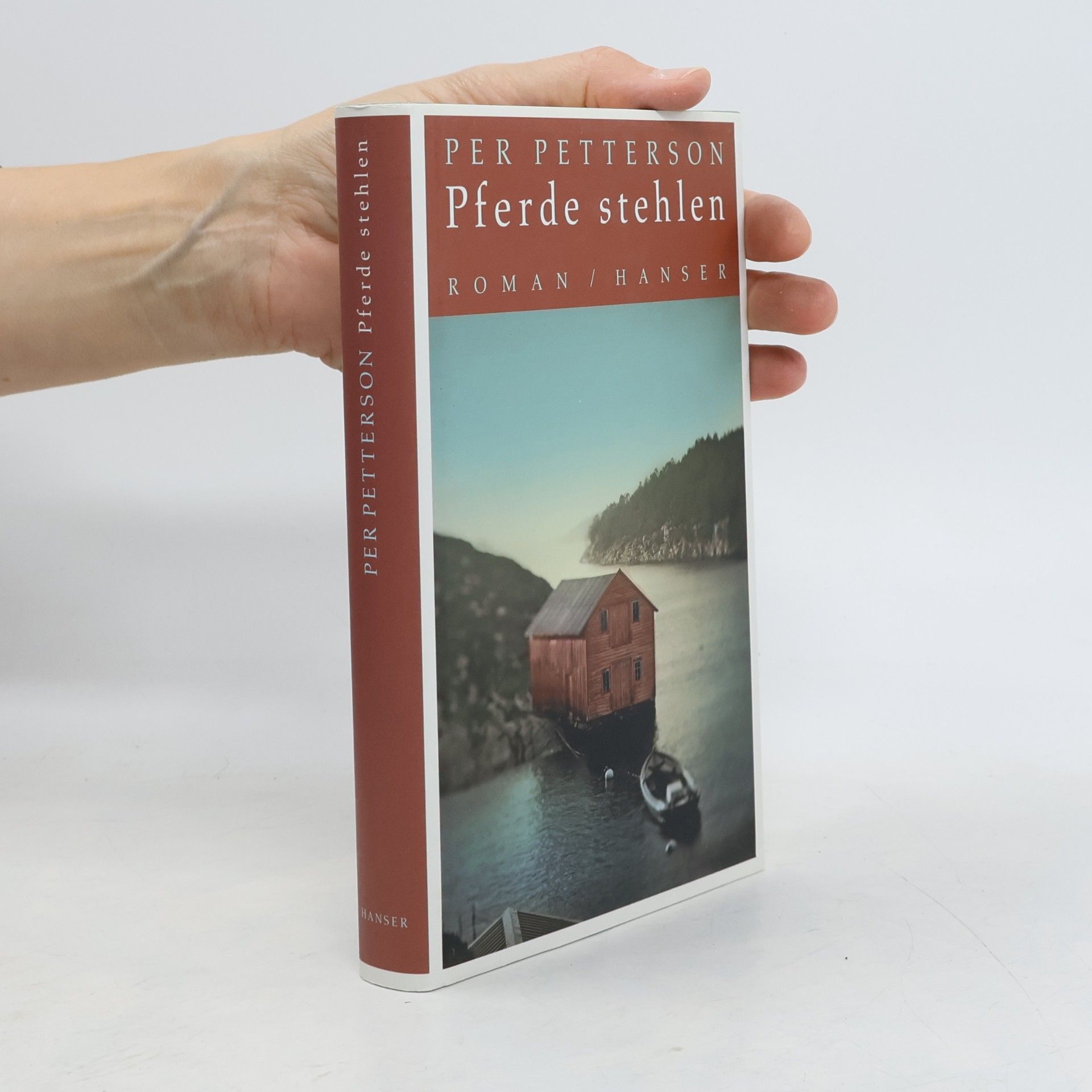 Per Petterson Pferde stehlen